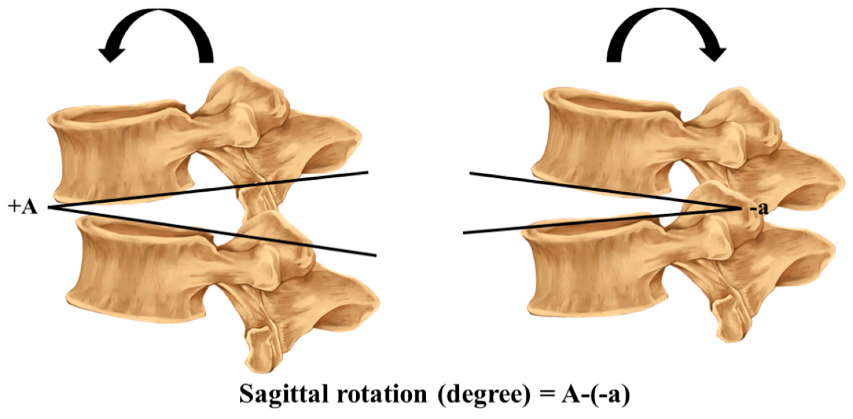 Ijerph 18 12151 g001 Ijerph 18 12151 g001