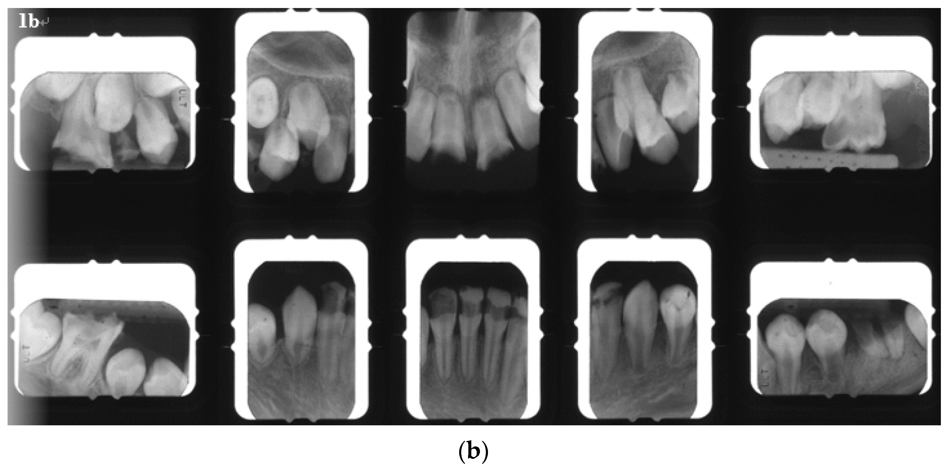 Ijerph 18 12158 g001b Ijerph 18 12158 g001b
