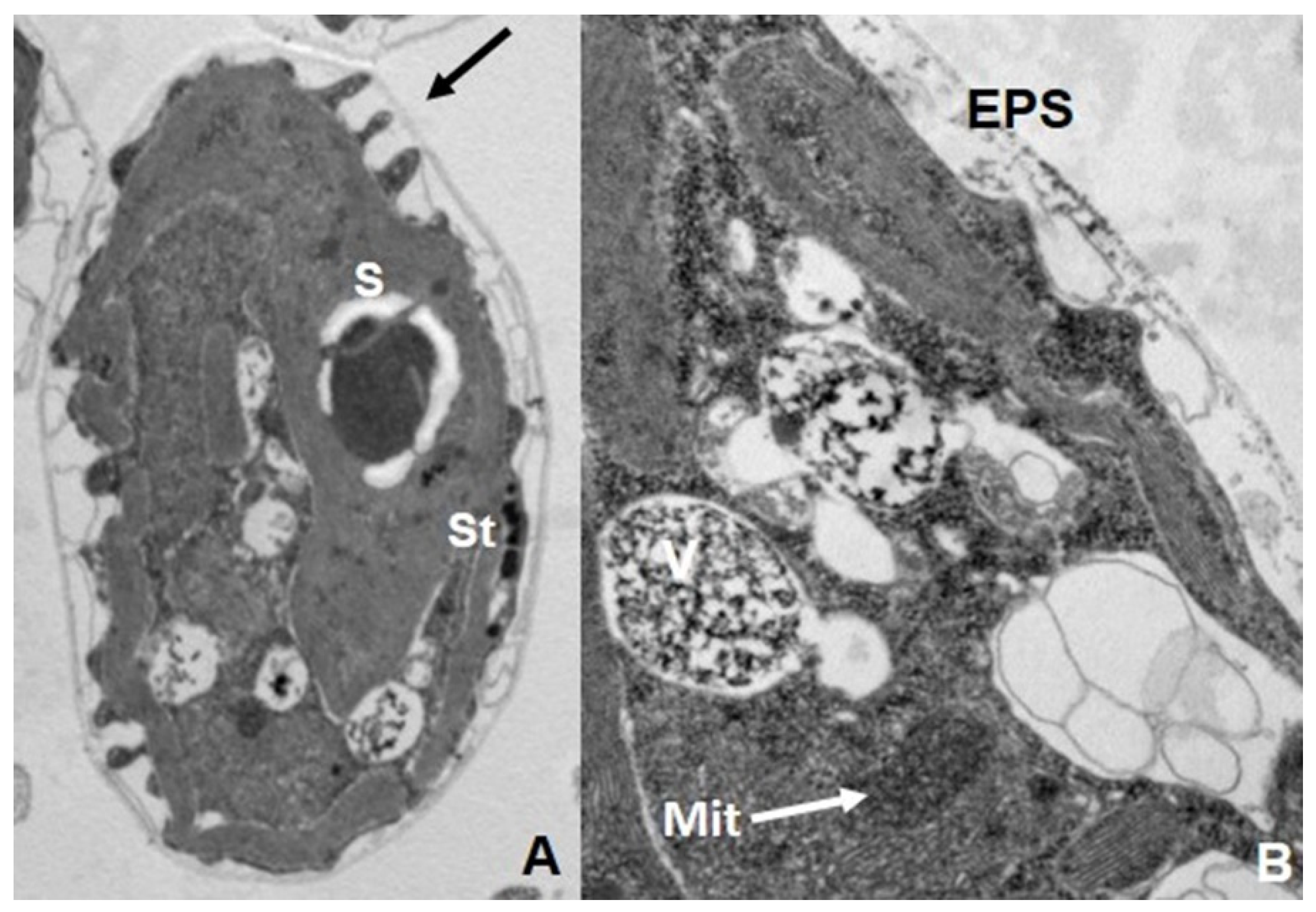 Ijerph 18 12226 g004
