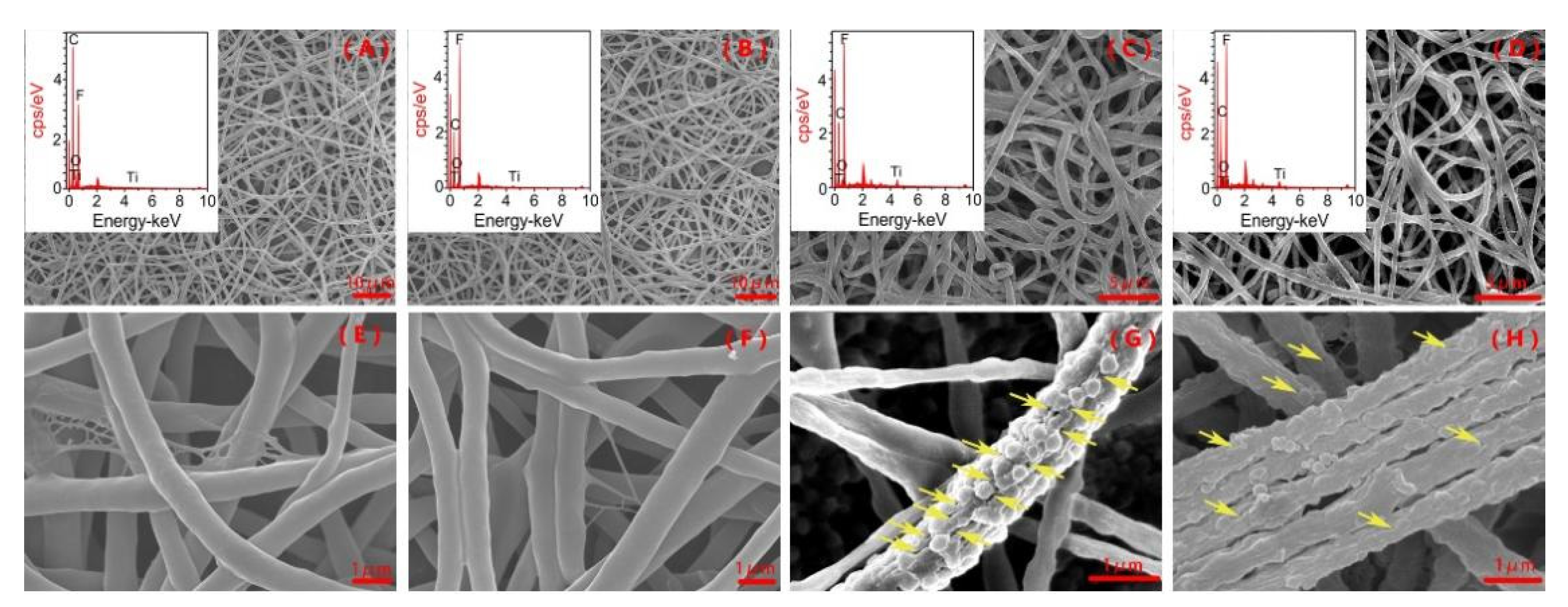 Ijerph 18 12339 g001