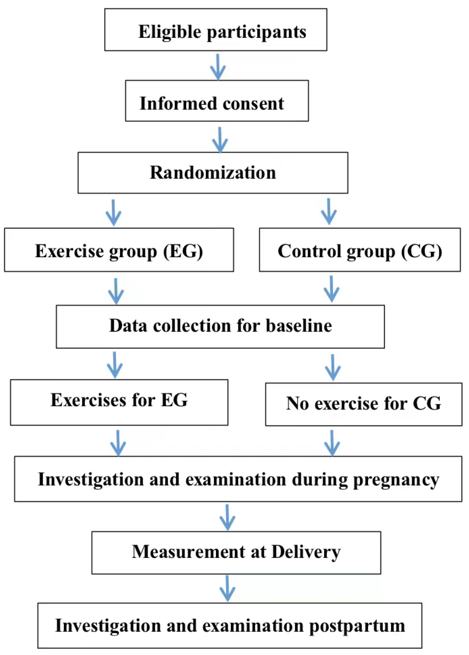 PDF) The management of urogynacological problems in pregnancy and the early  postpartum period