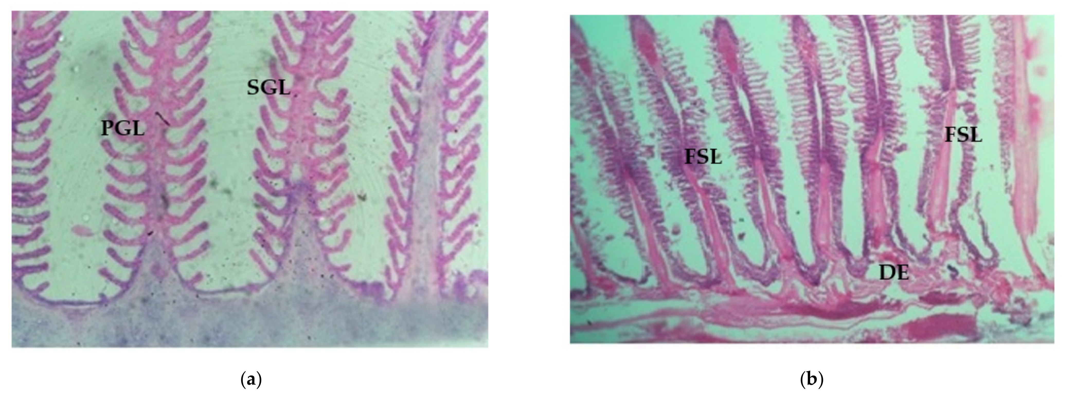 Ijerph 18 12967 g005a