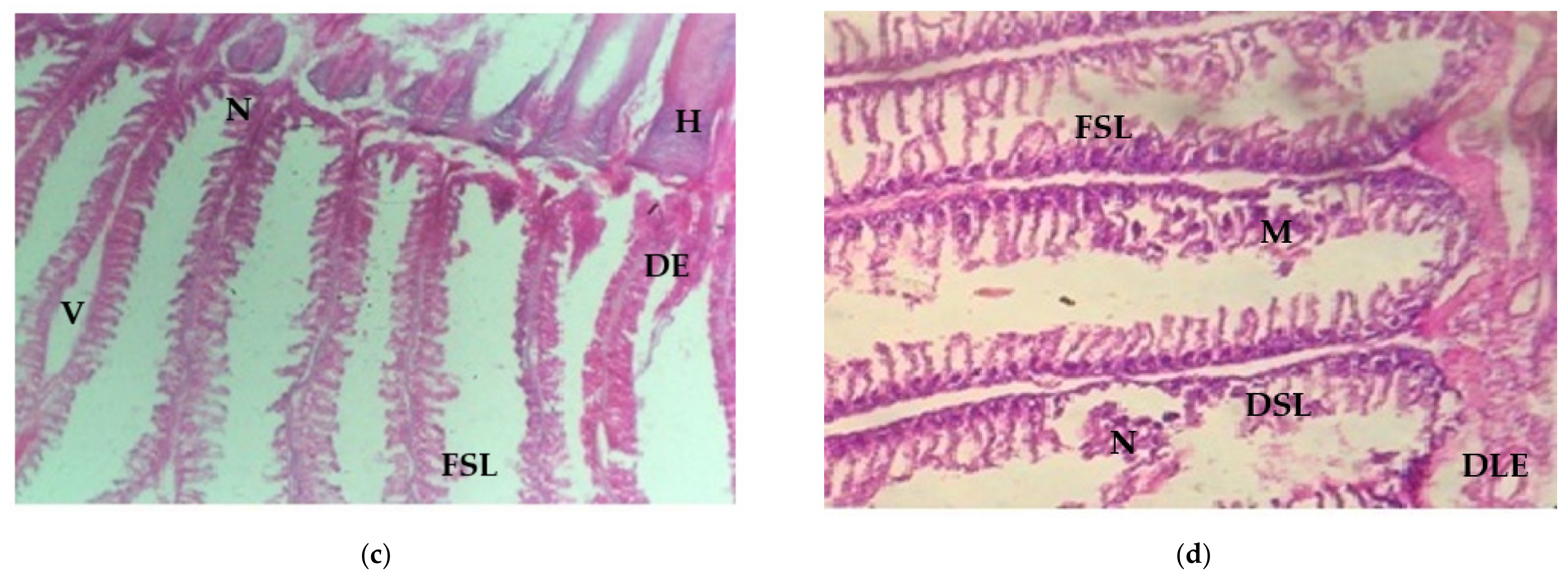 Ijerph 18 12967 g005b