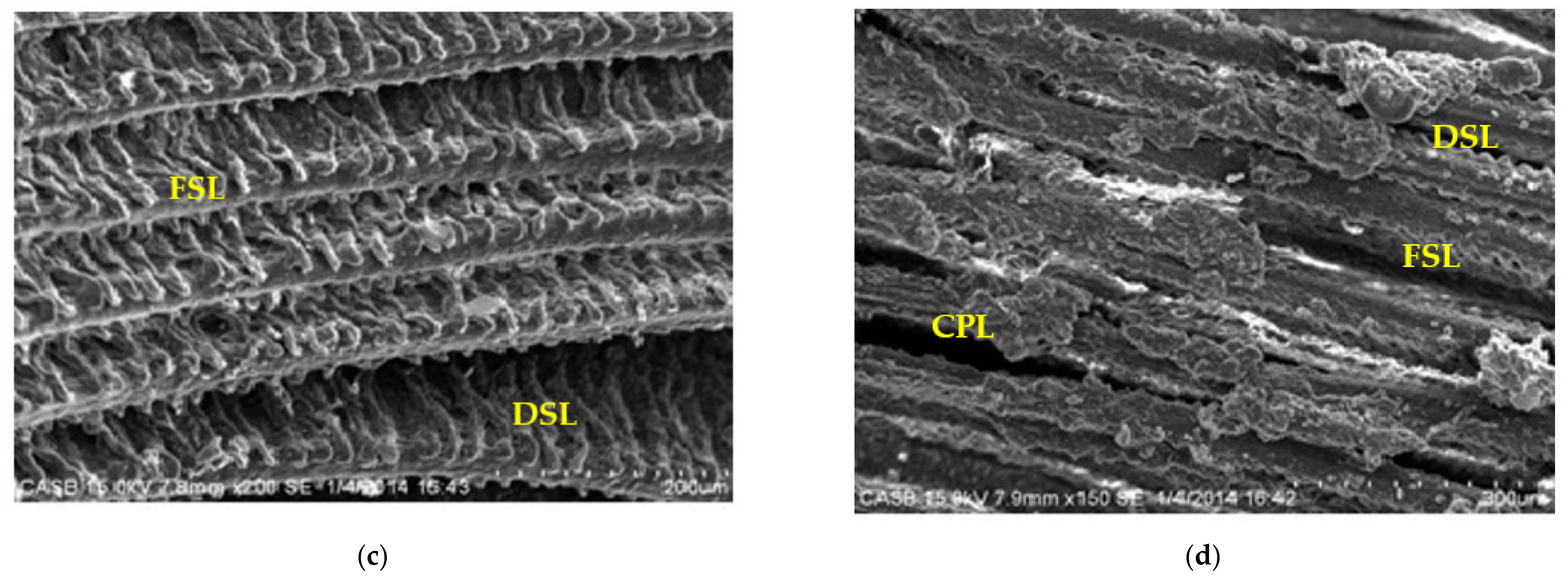 Ijerph 18 12967 g006b