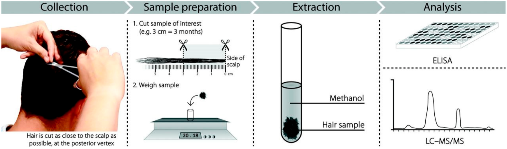 Is cutting перевод. Liquid Chromatography Tandem Mass-Spectrometry. Scalp a7 3m градация. Elisa (Enzyme linked immunoadsorbent Assay) 2. EIA (Enzyme Immunoassay) -. Hair Weight height.