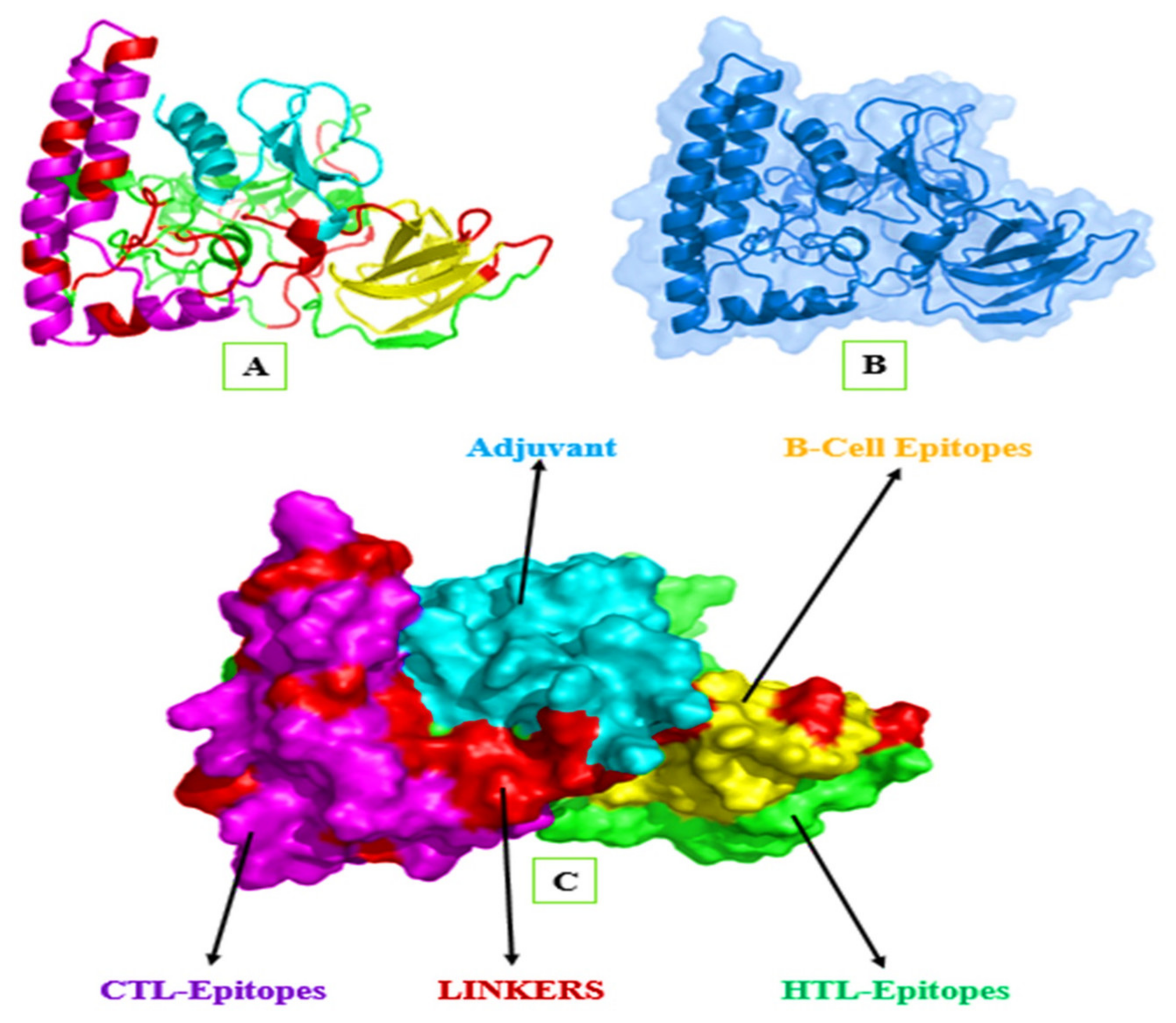 Ijerph 19 00194 g004