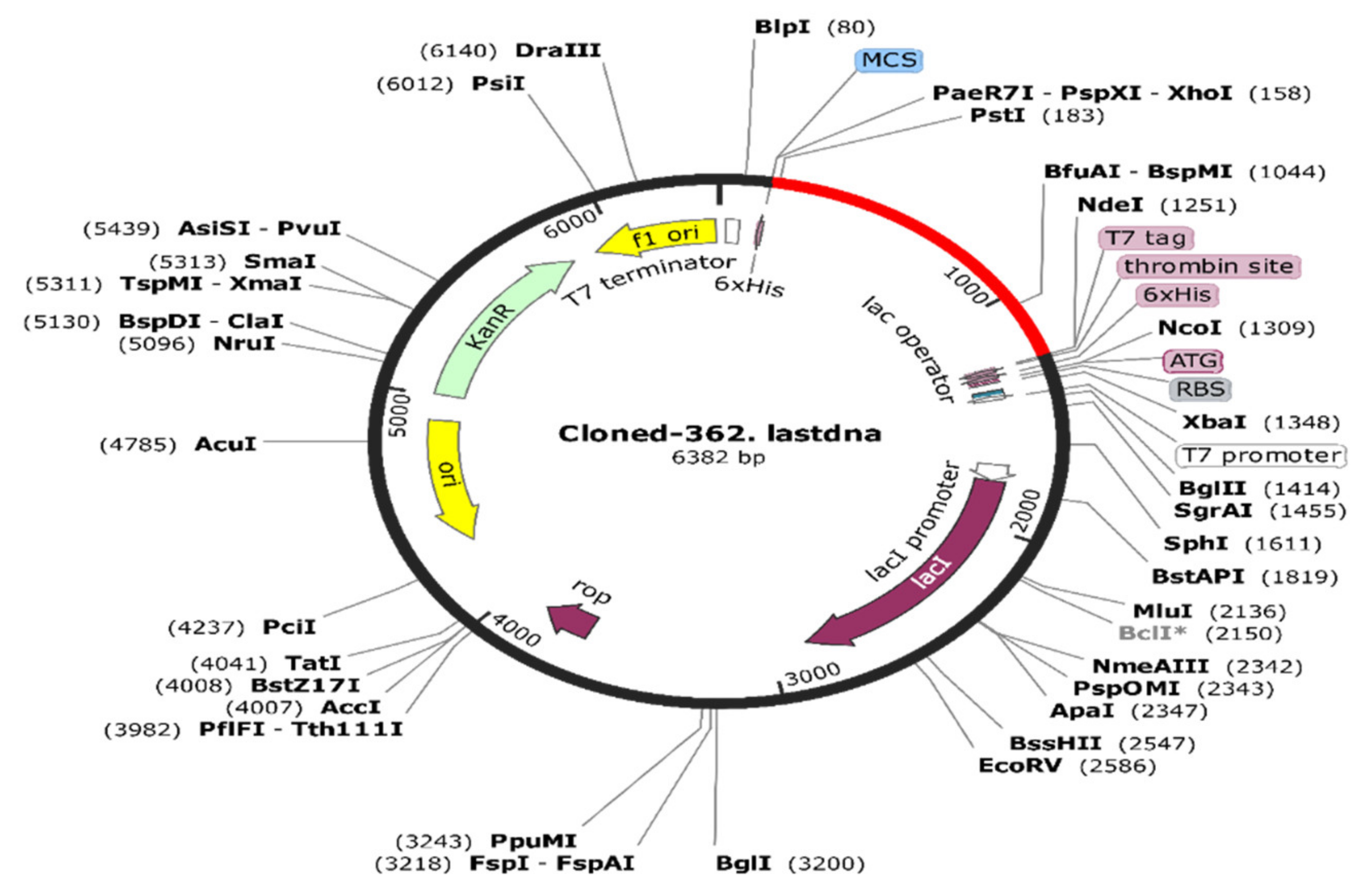 ijerph-free-full-text-core-proteomics-based-annotation-of-antigenic