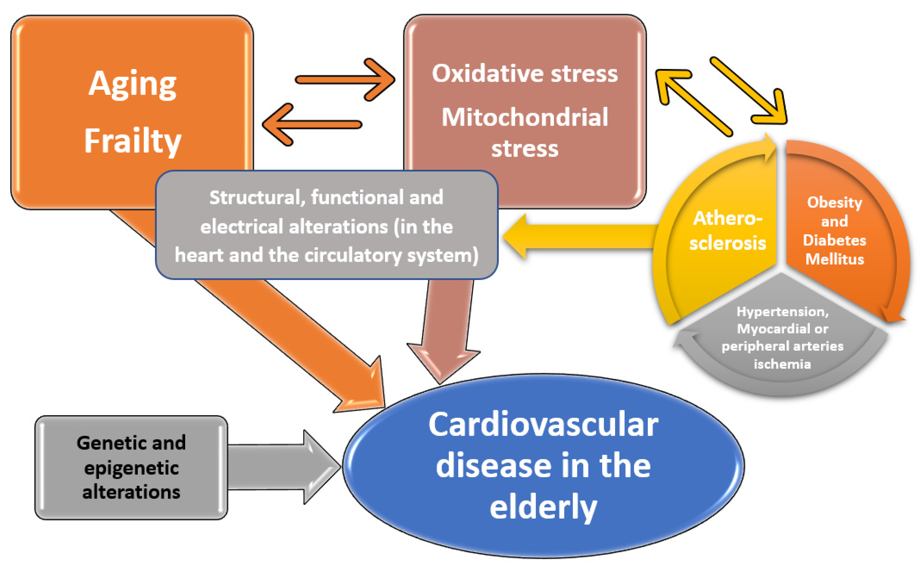 Ijerph Free Full Text Cardiovascular Risk Factors And Physical Activity For The Prevention