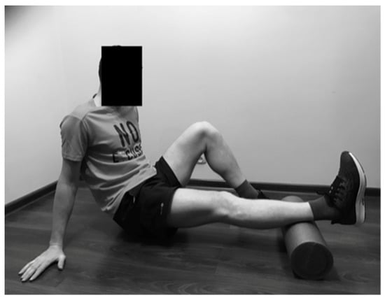 IJERPH | Free Full-Text | The Influence of Self-Myofascial Release