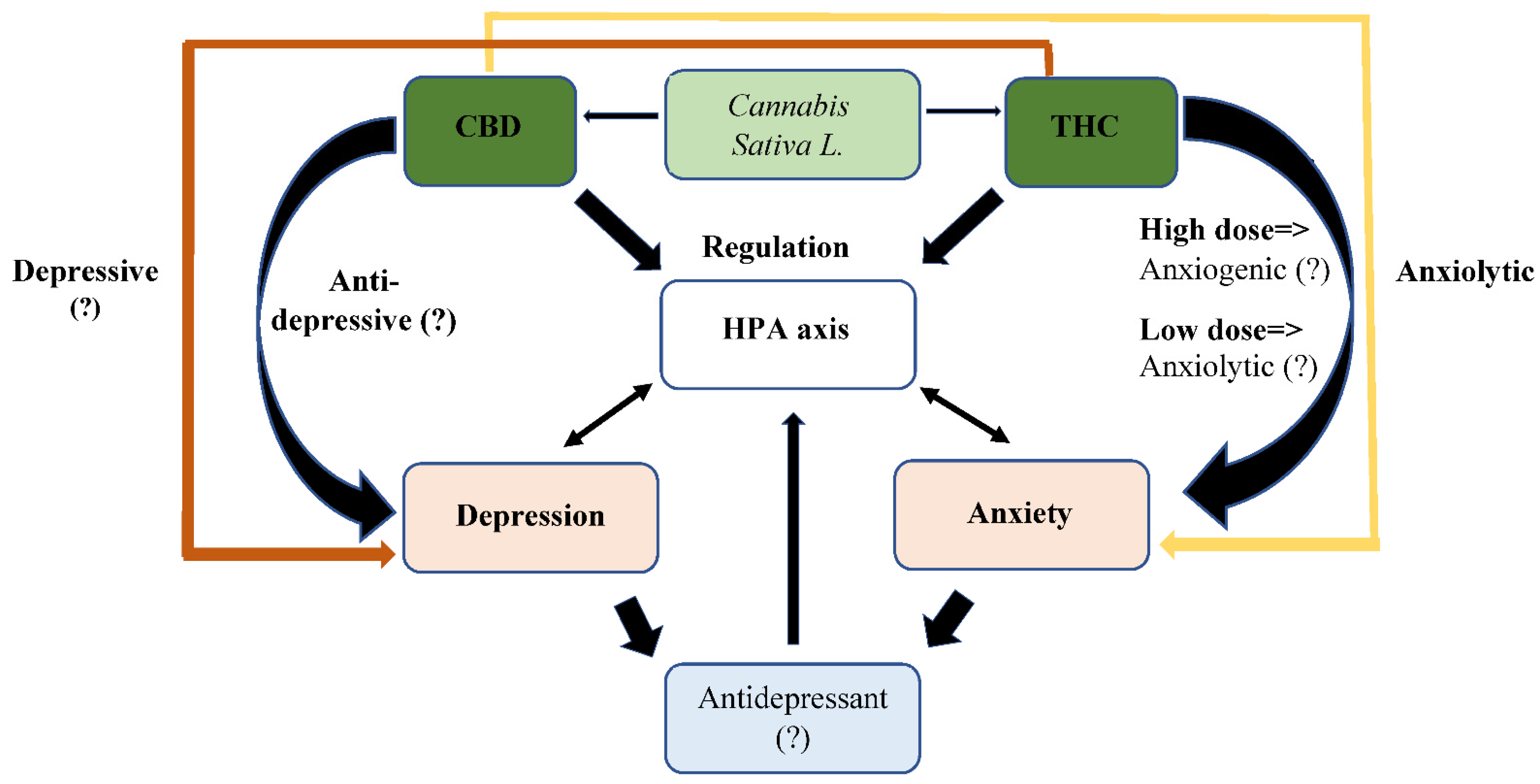 IJERPH | Free Full-Text | Examining the Use of Antidepressants for  Adolescents with Depression/Anxiety Who Regularly Use Cannabis: A Narrative  Review | HTML