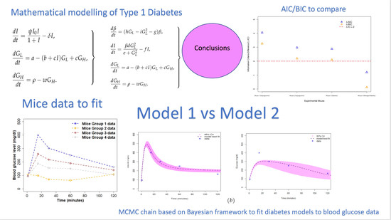 IJERPH | Free Full-Text | Examining Type 1 Diabetes Mathematical Models  Using Experimental Data | HTML