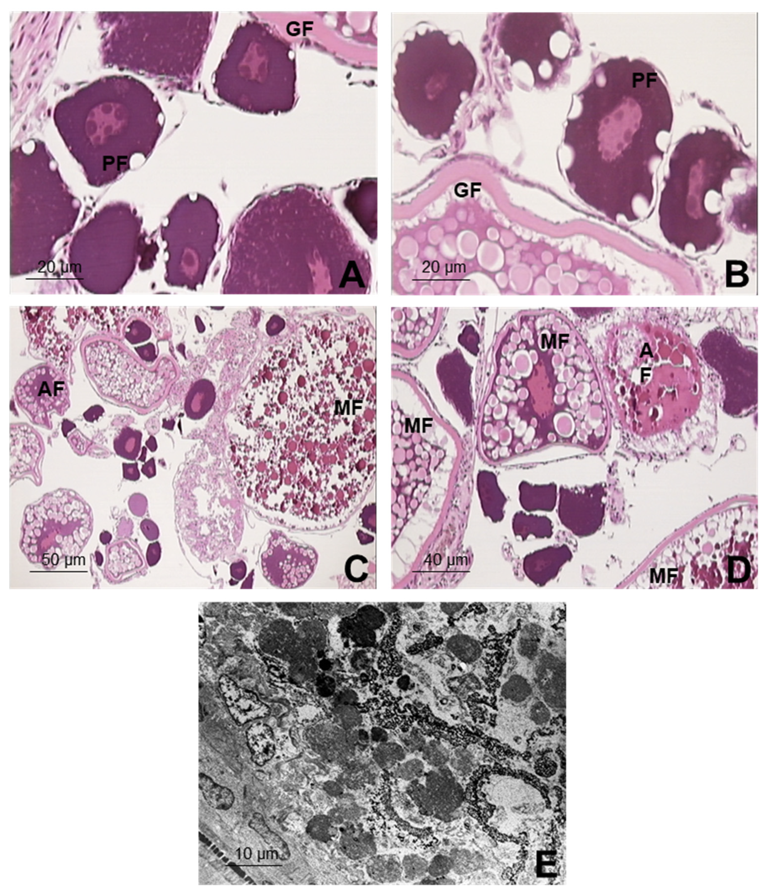 Ijerph 19 00962 g003