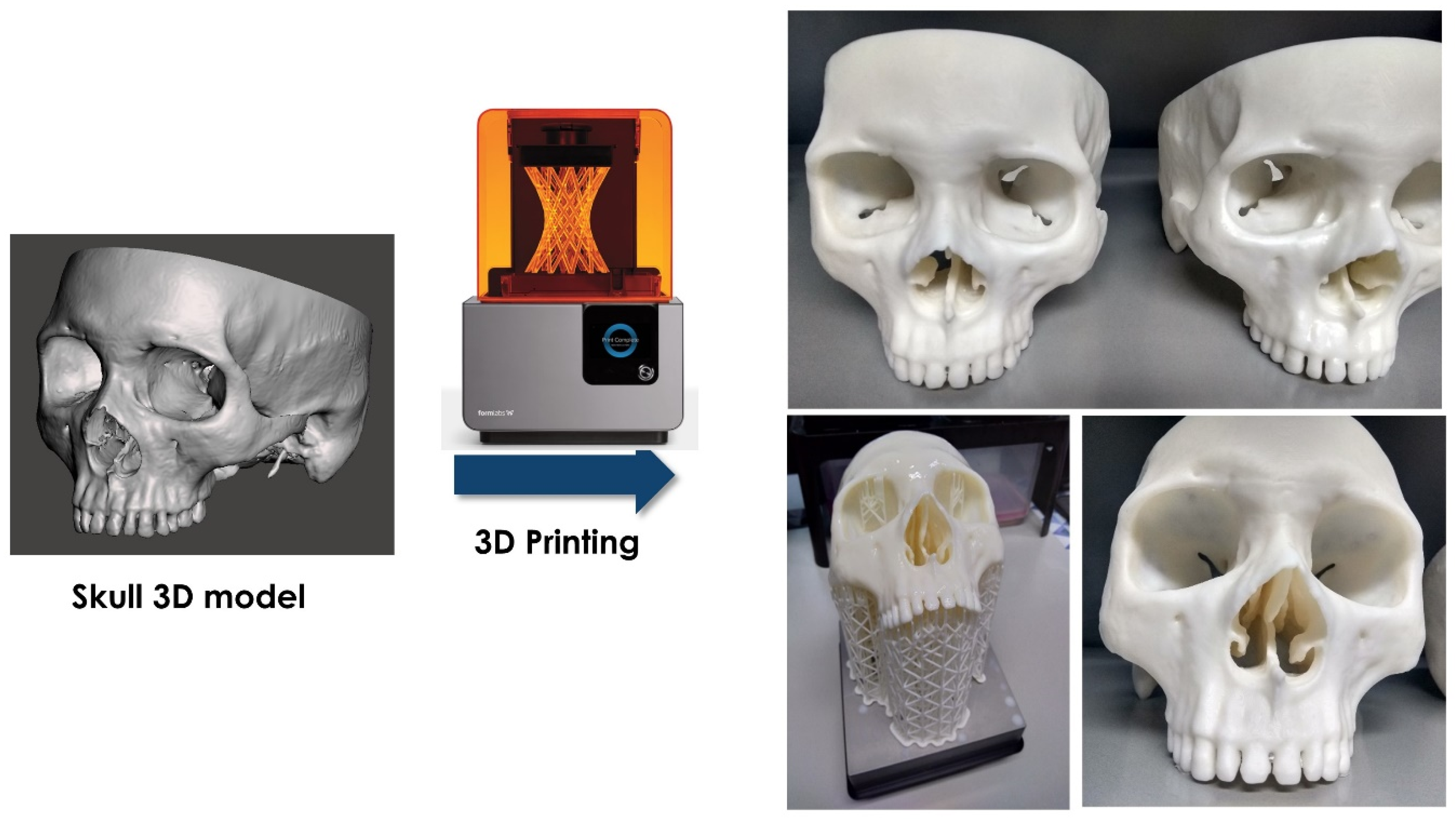 Ijerph 19 01024 g002