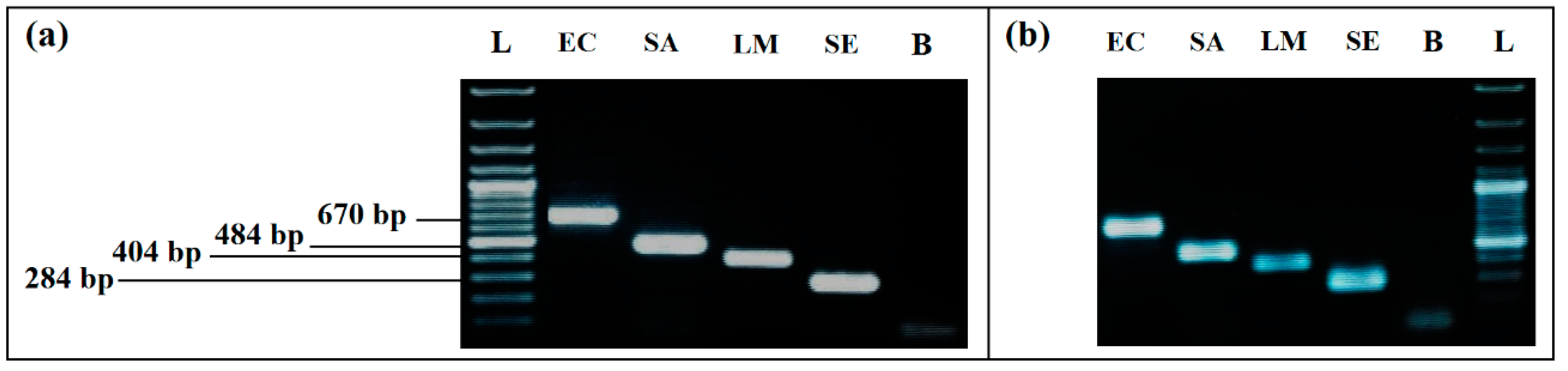 Ijerph 19 01031 g001