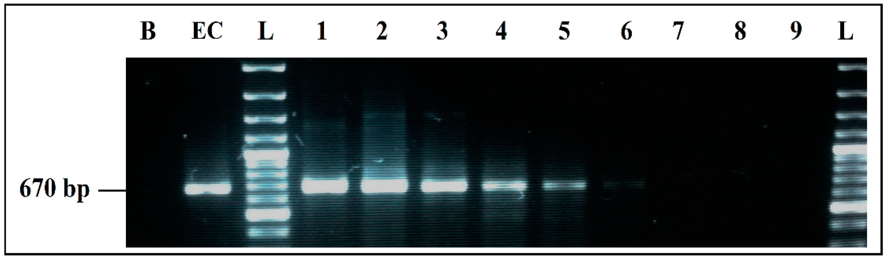 Ijerph 19 01031 g002