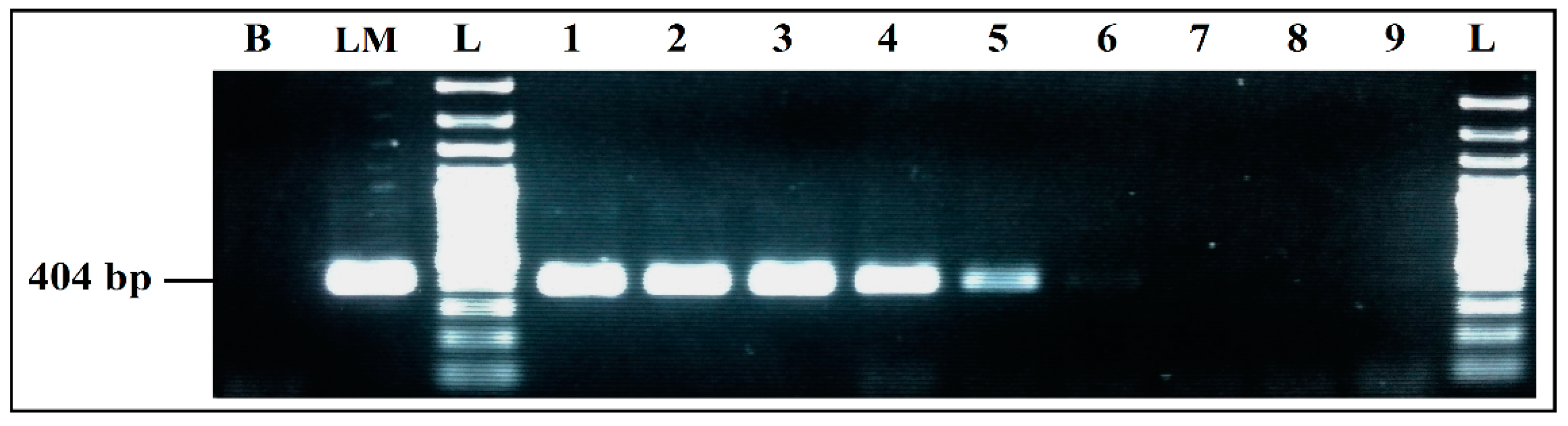 Ijerph 19 01031 g004