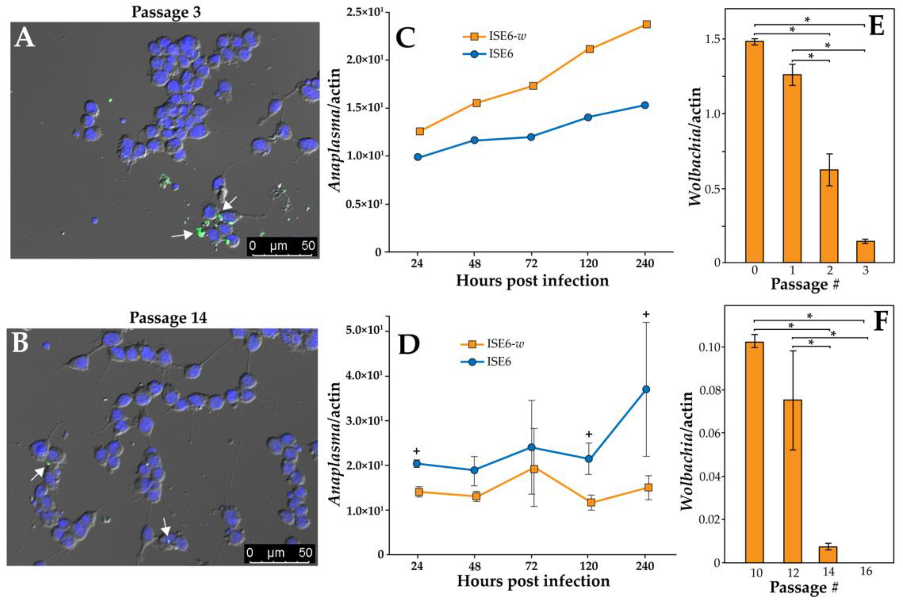Ijerph 19 01051 g001 Ijerph 19 01051 g001