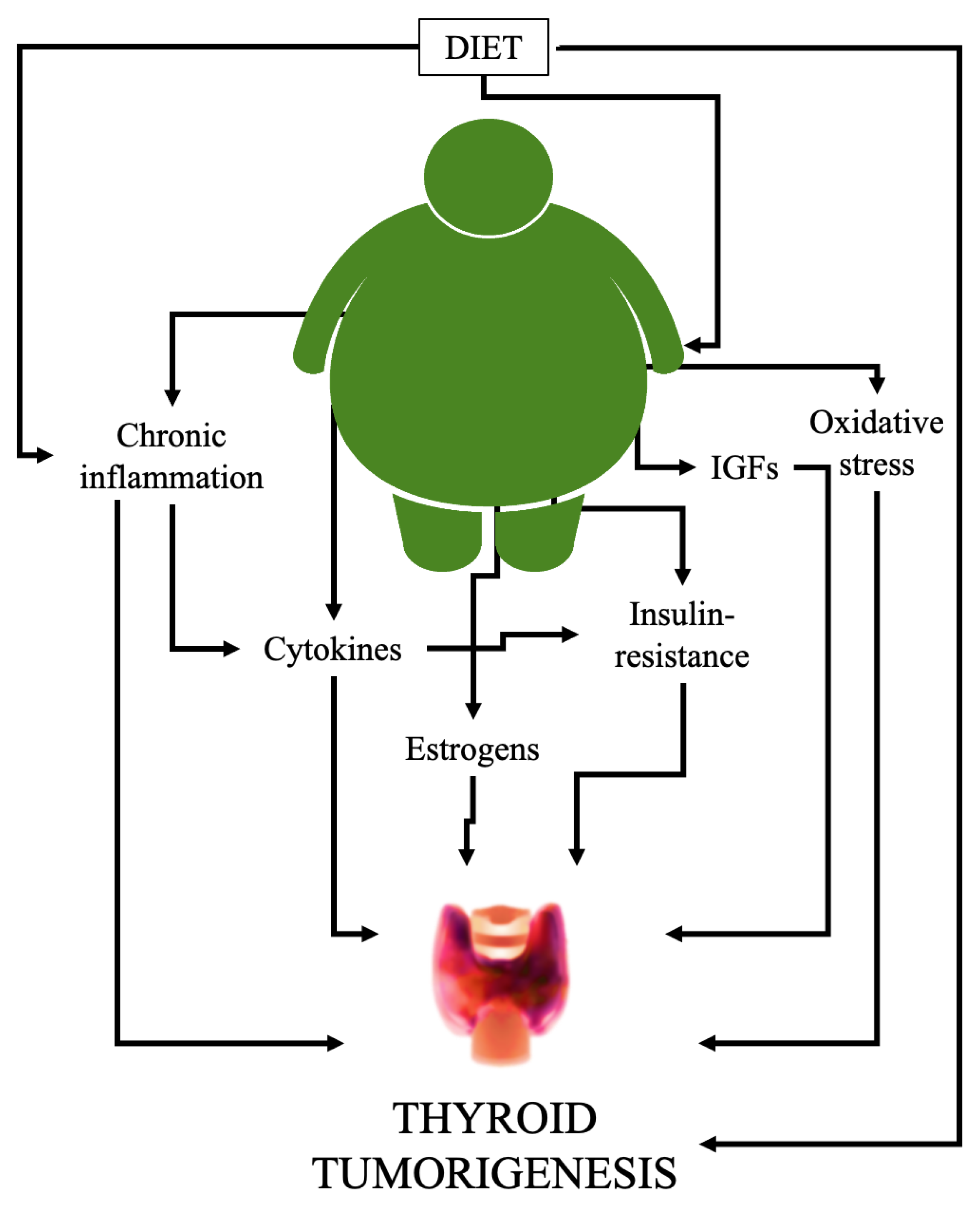 IJERPH | Free Full-Text | Obesity and Thyroid Cancer Risk: An Update
