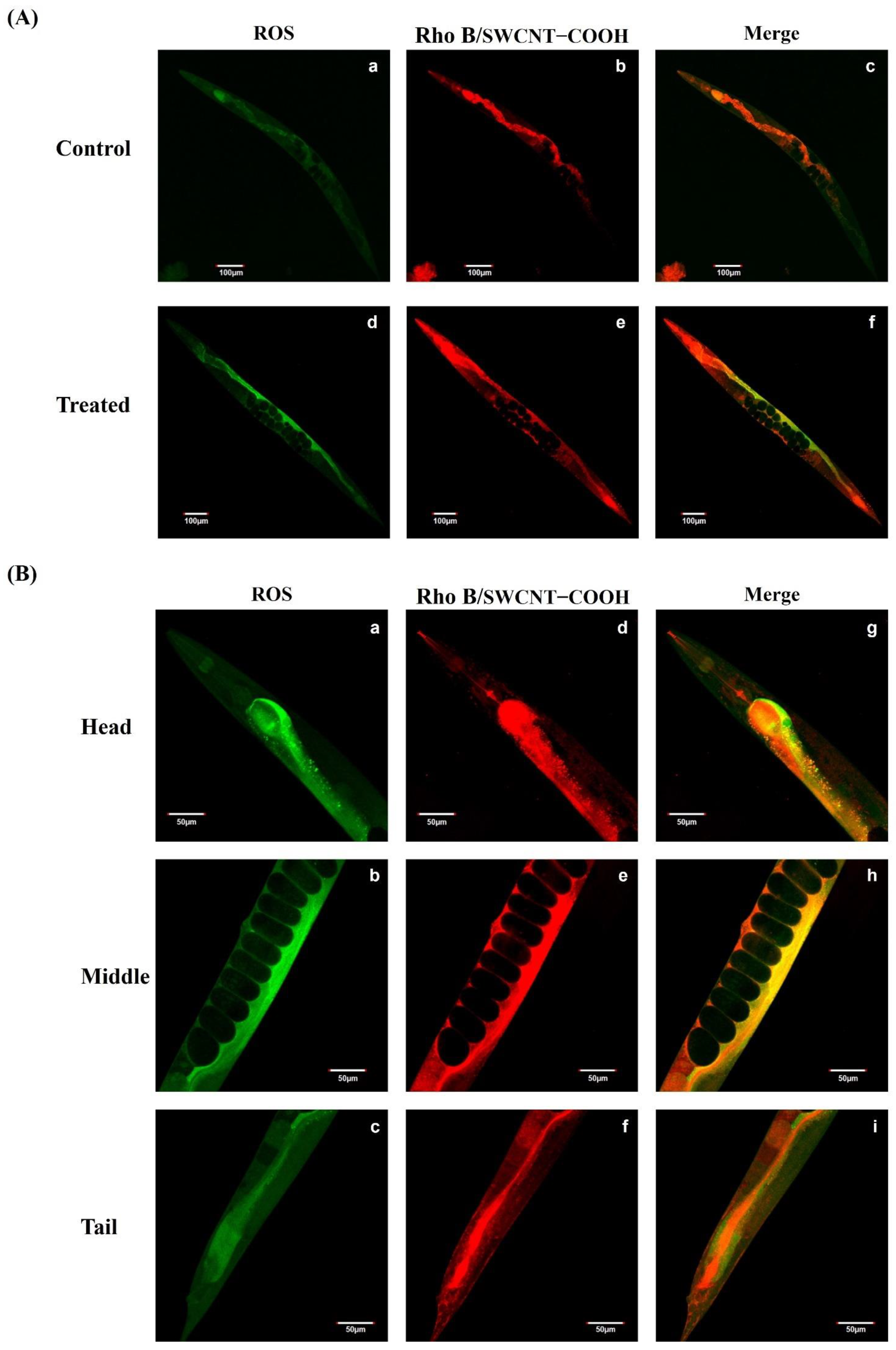 Ijerph 19 01218 g005