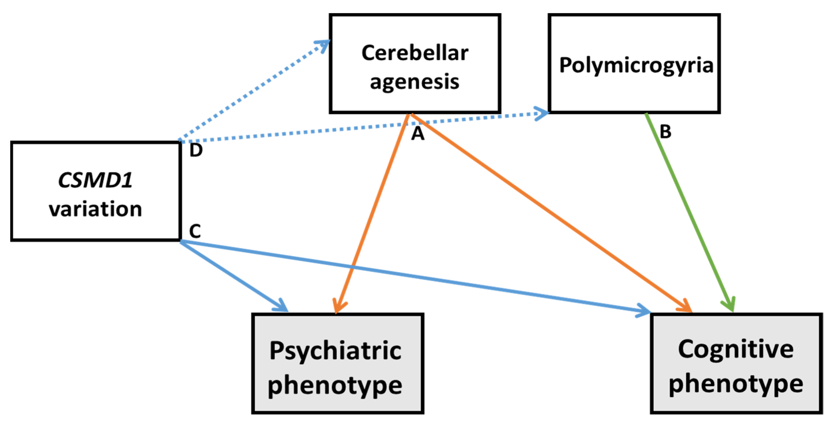 Ijerph 19 01224 g005