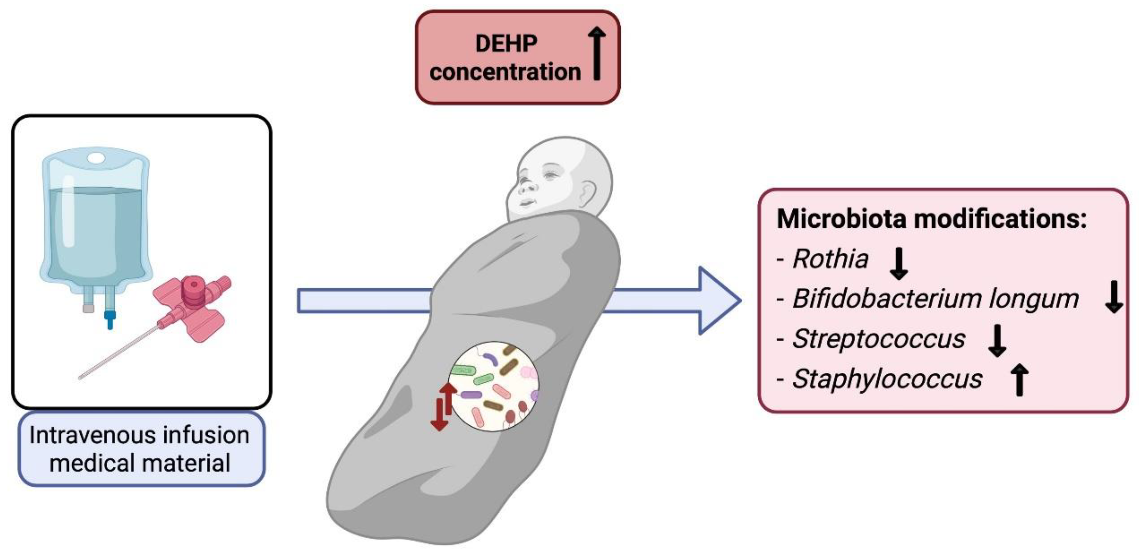 Ijerph 19 01368 g004