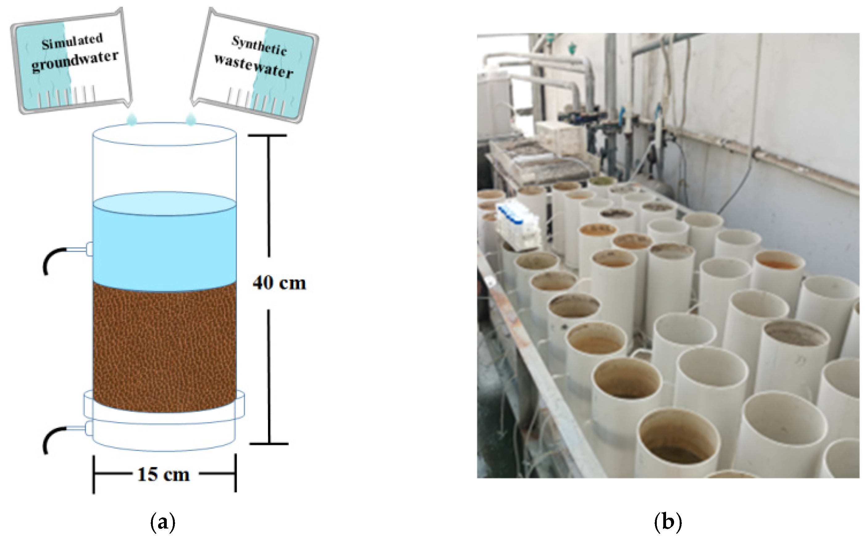 Ijerph 19 01475 g001