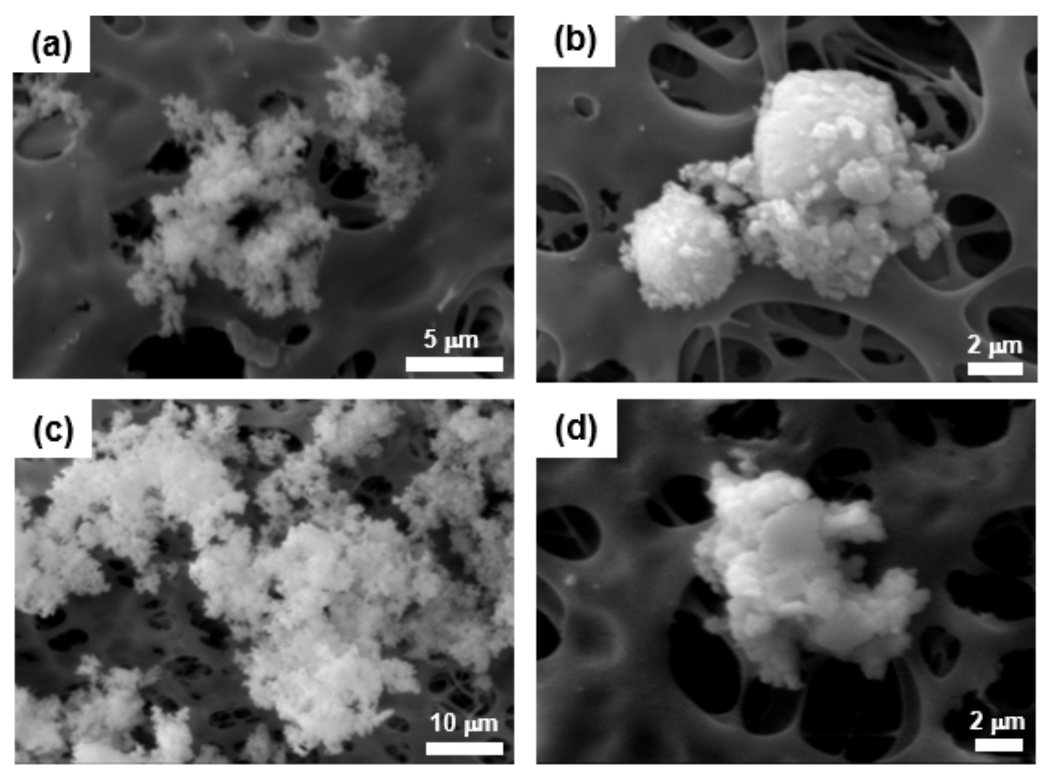 Ijerph 19 01791 g004