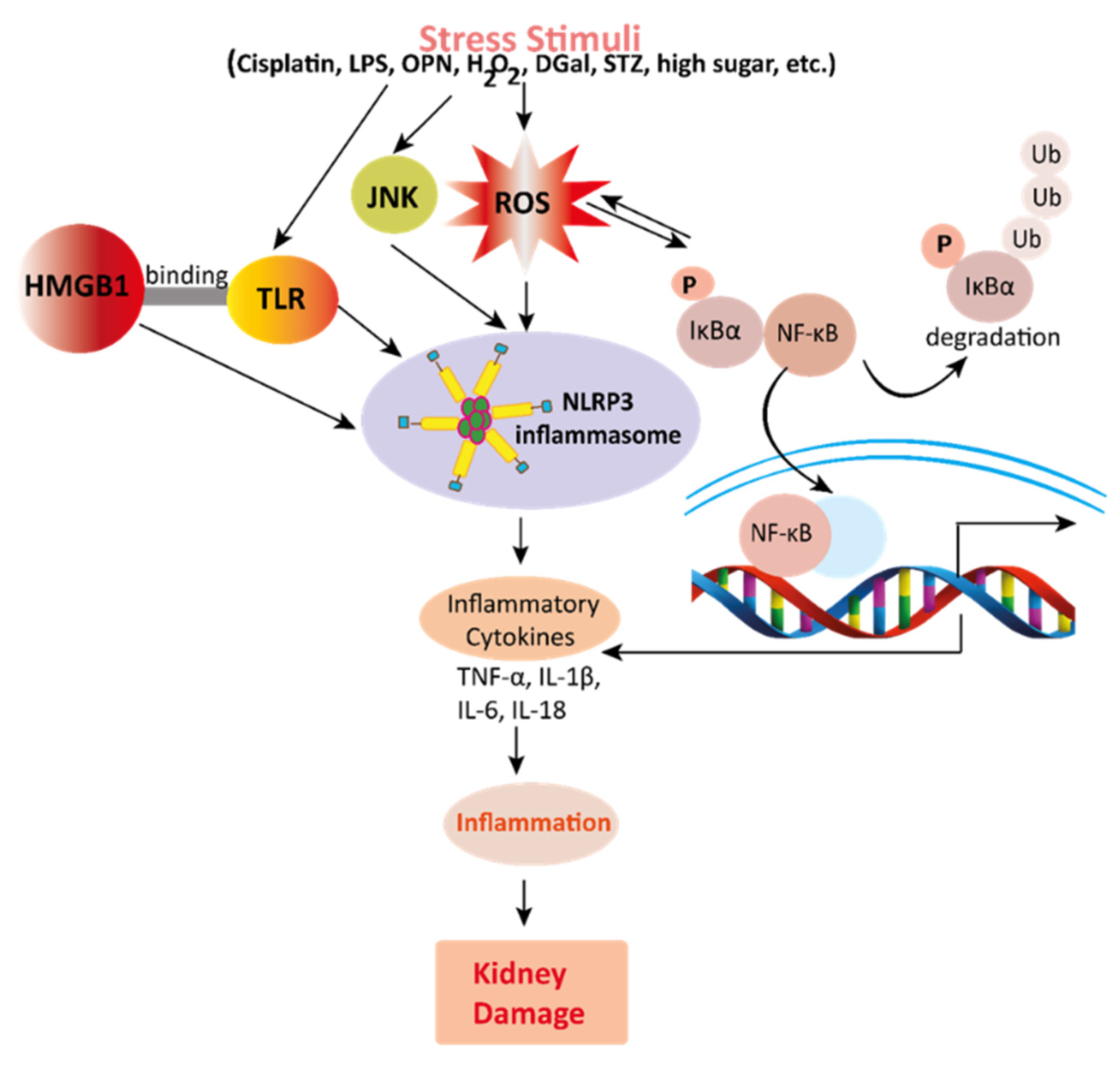 Ijerph 19 01864 g003