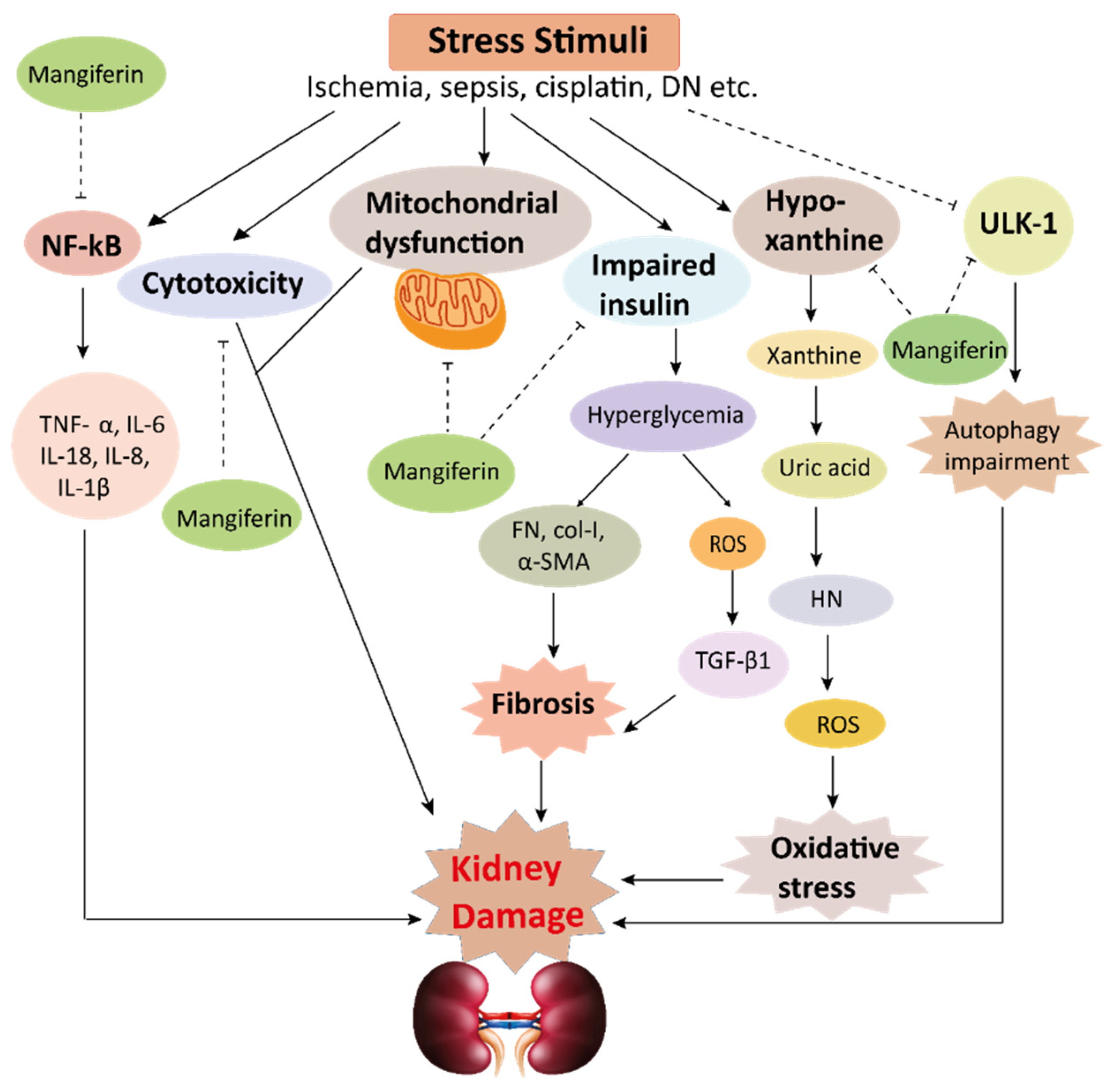 Ijerph 19 01864 g004