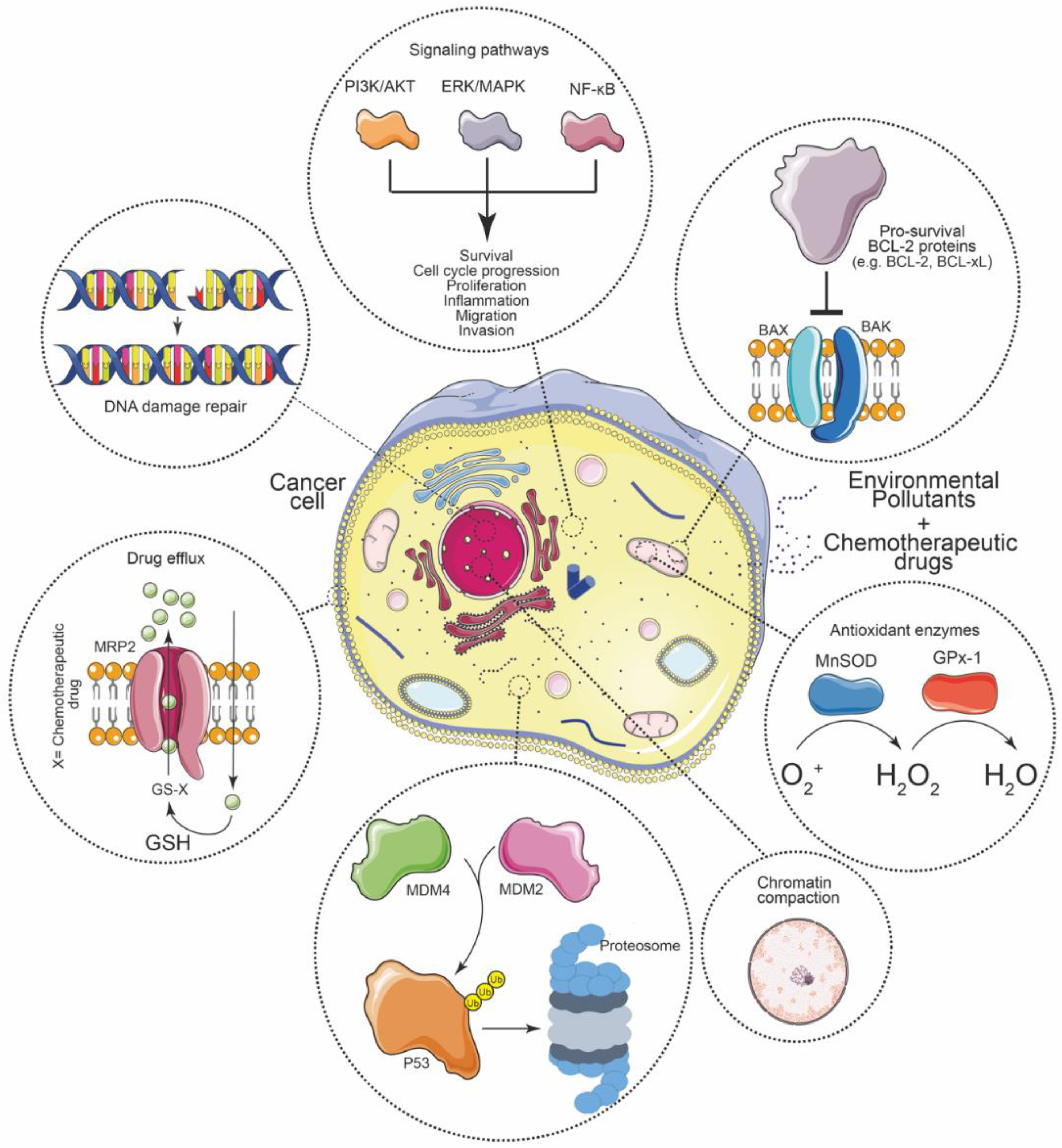 Ijerph 19 02064 g003 Ijerph 19 02064 g003