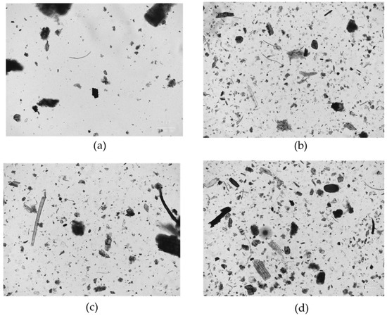 IJERPH | Free Full-Text | Analysis of Massaciuccoli Peat after Maturation  in Sodium Chloride Water of Undulna Thermae