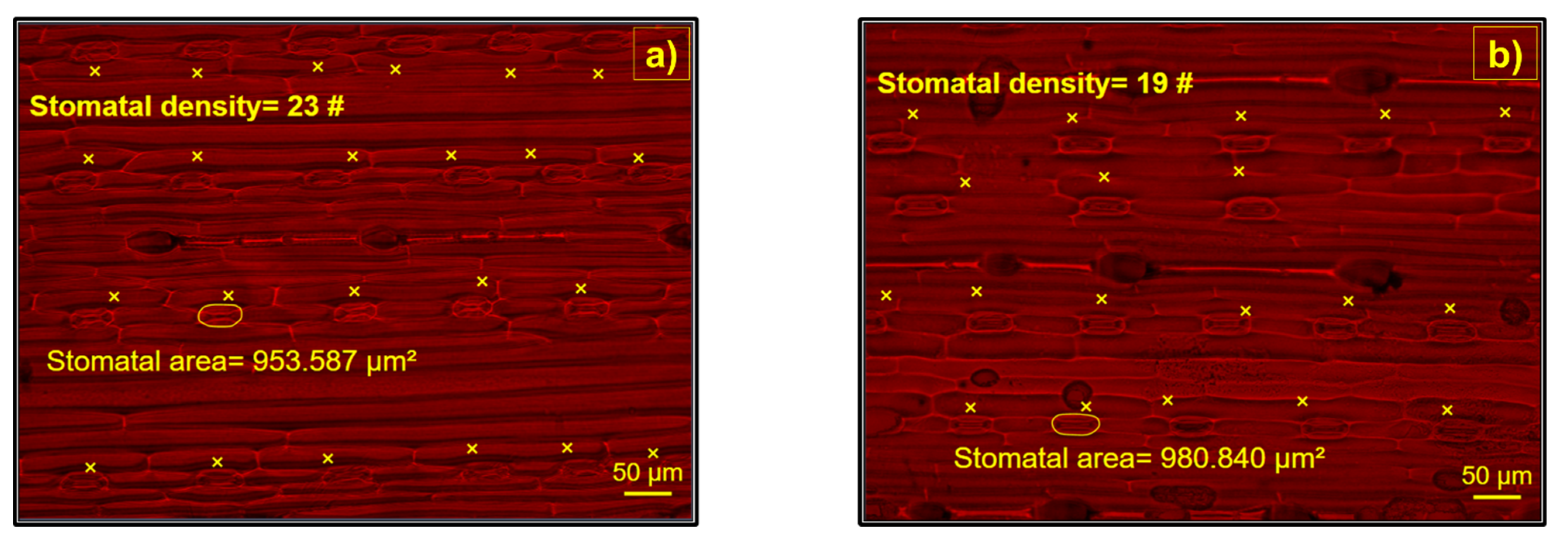 Ijerph 19 02345 g006 Ijerph 19 02345 g006