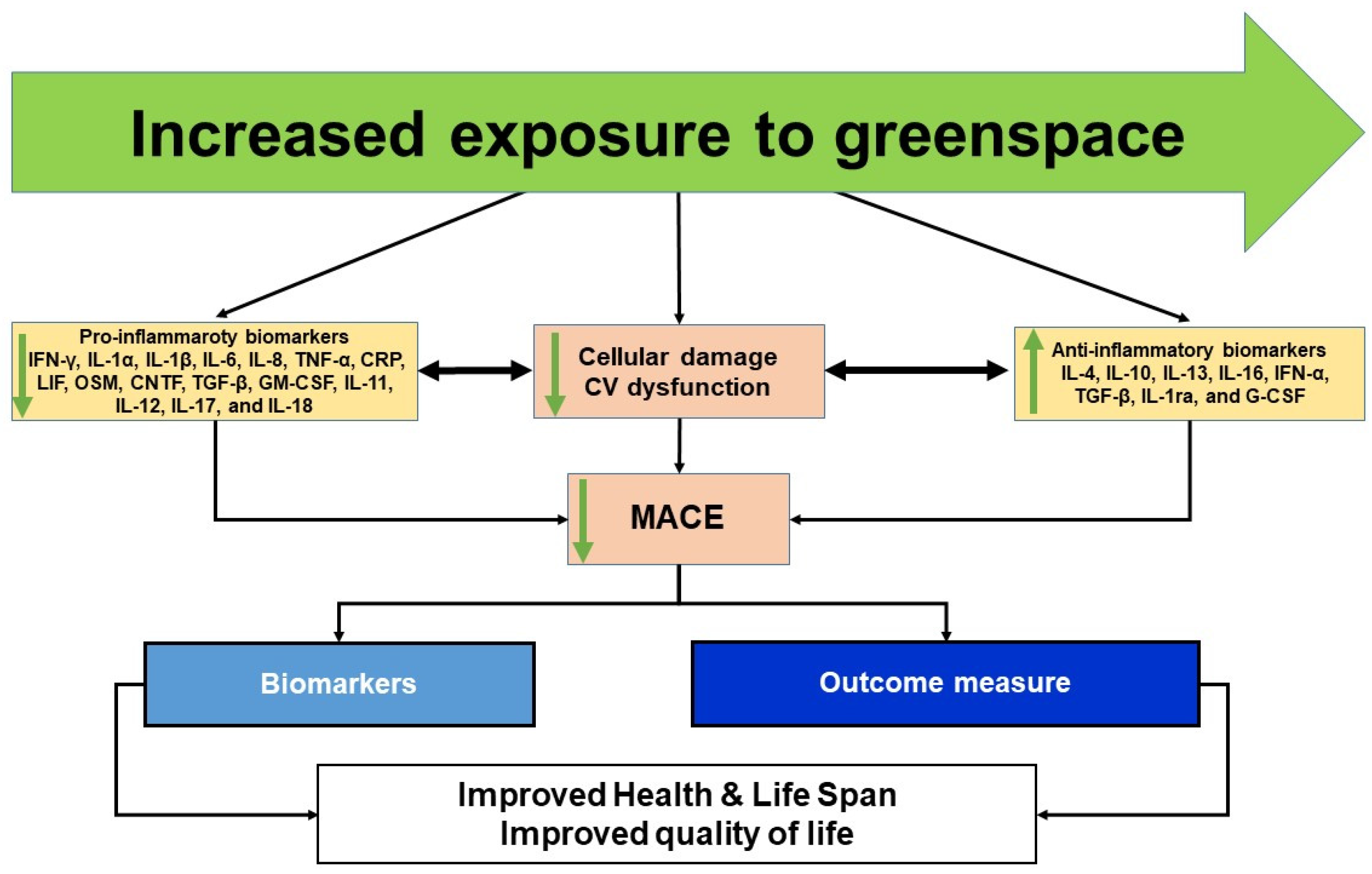 Ijerph 19 02426 g0a1