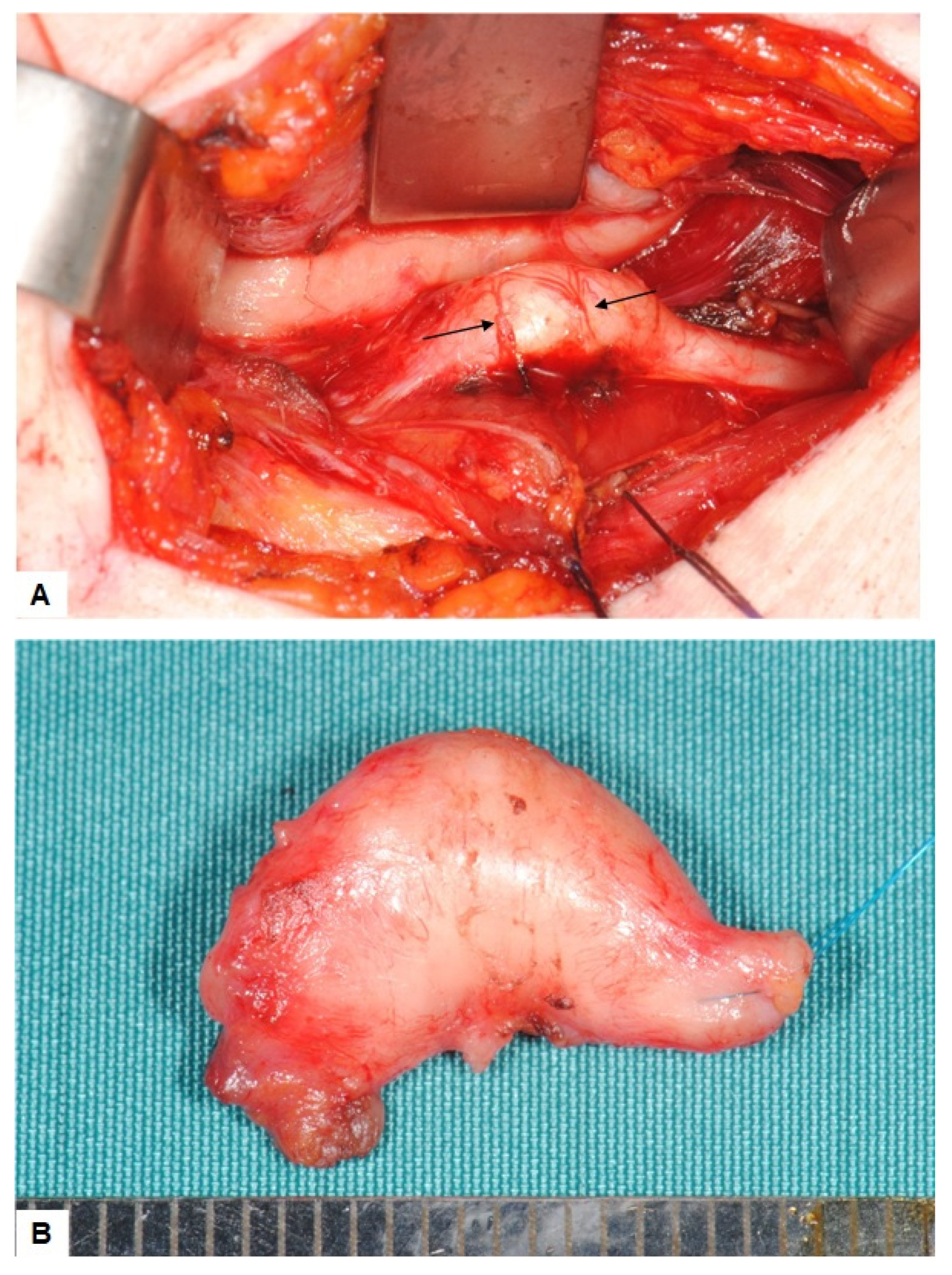 Ijerph 19 02690 g004 Ijerph 19 02690 g004