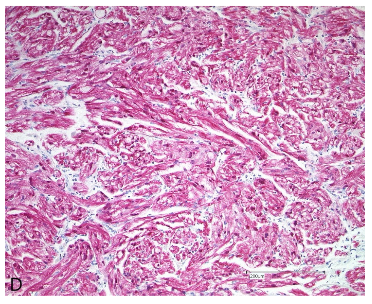 Ijerph 19 02690 g005b Ijerph 19 02690 g005b