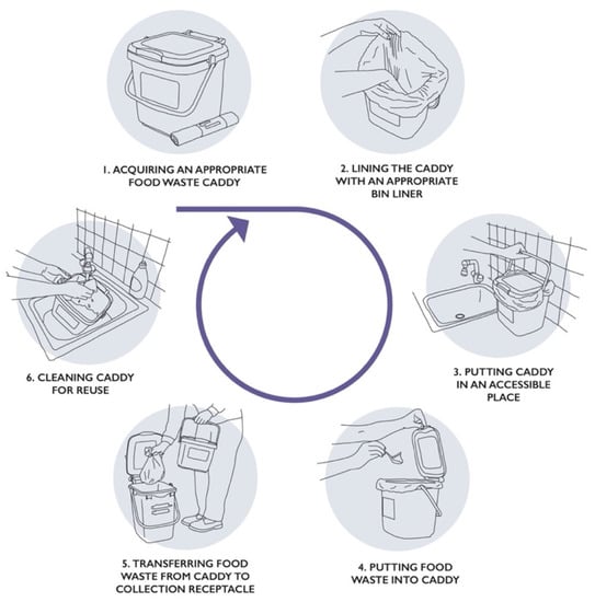 How to Cut Food Waste and Maintain Food Safety