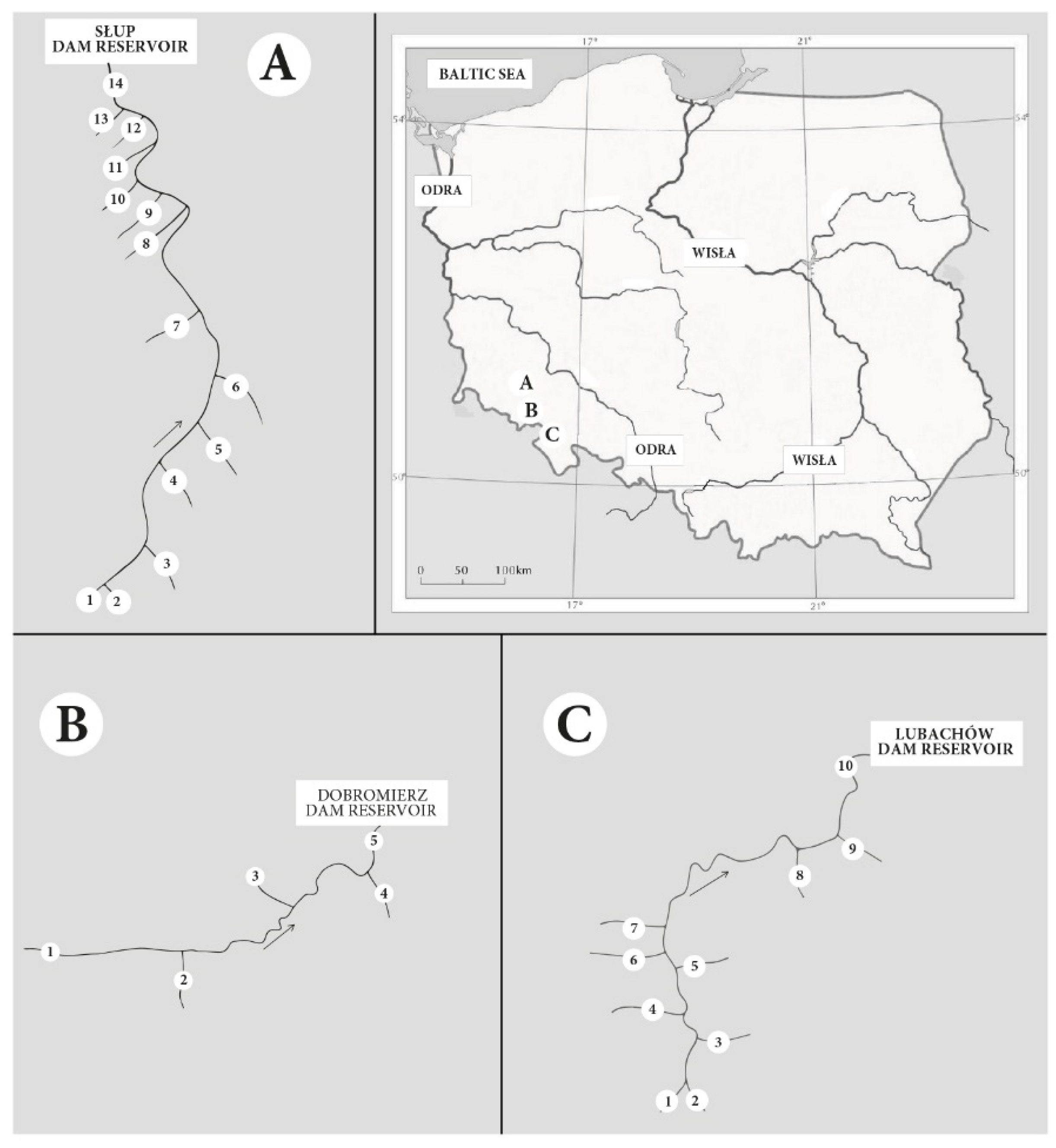 Ijerph 19 02930 g001