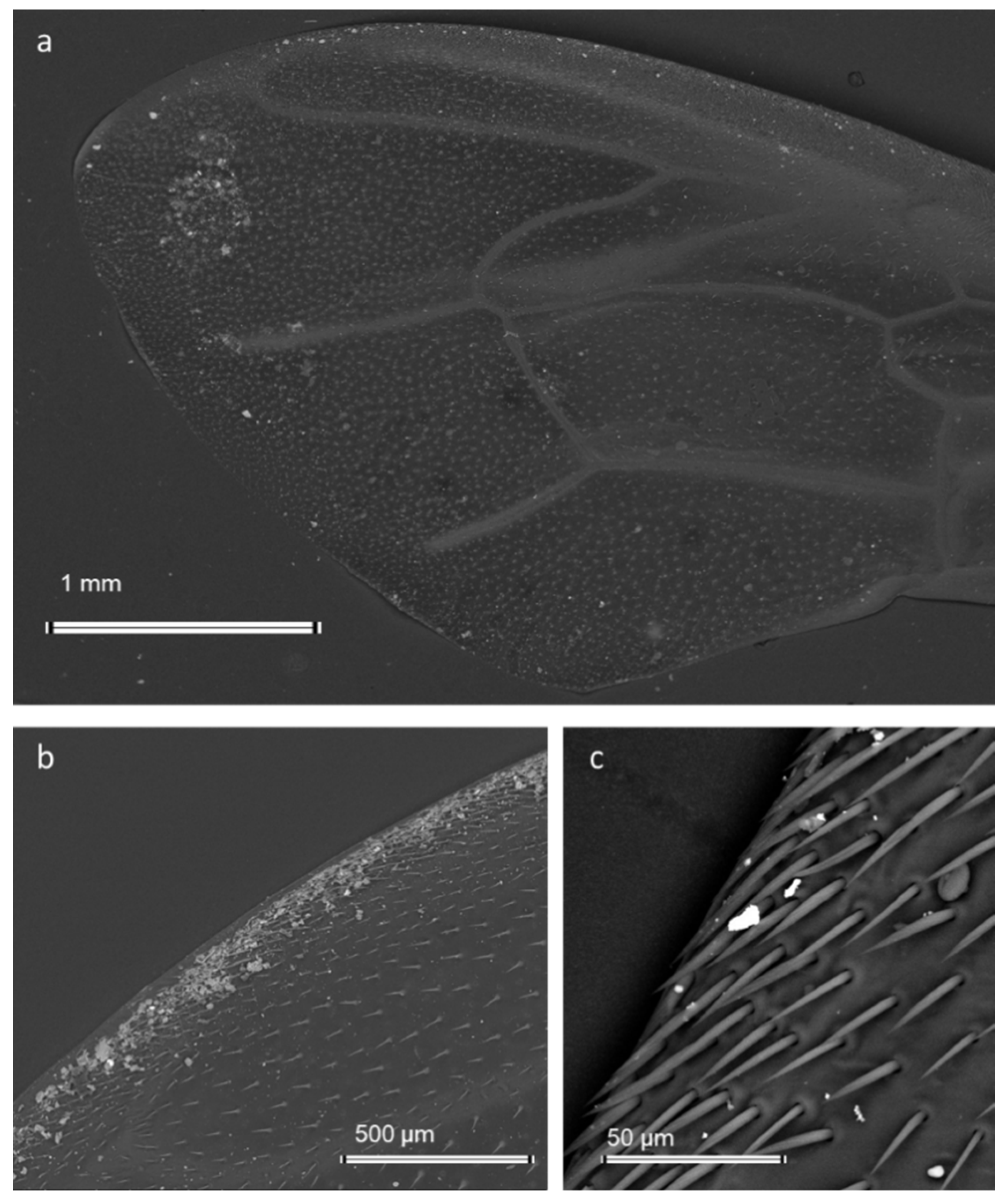 Ijerph 19 02997 g008