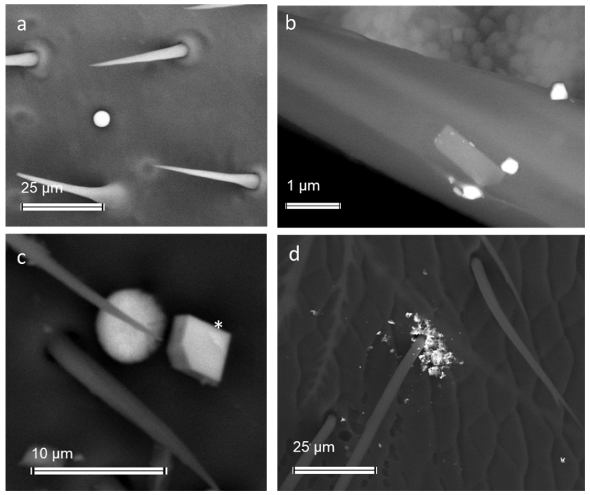 Ijerph 19 02997 g009