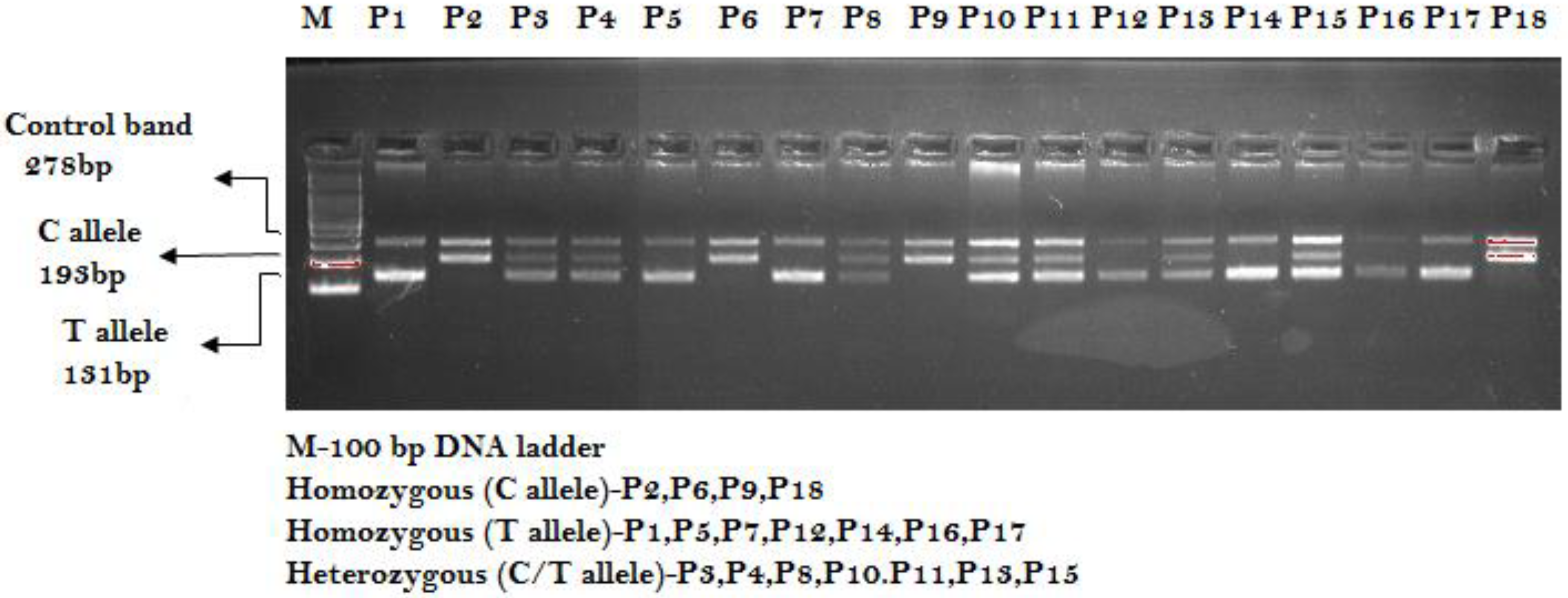 Ijerph 19 03114 g001 Ijerph 19 03114 g001