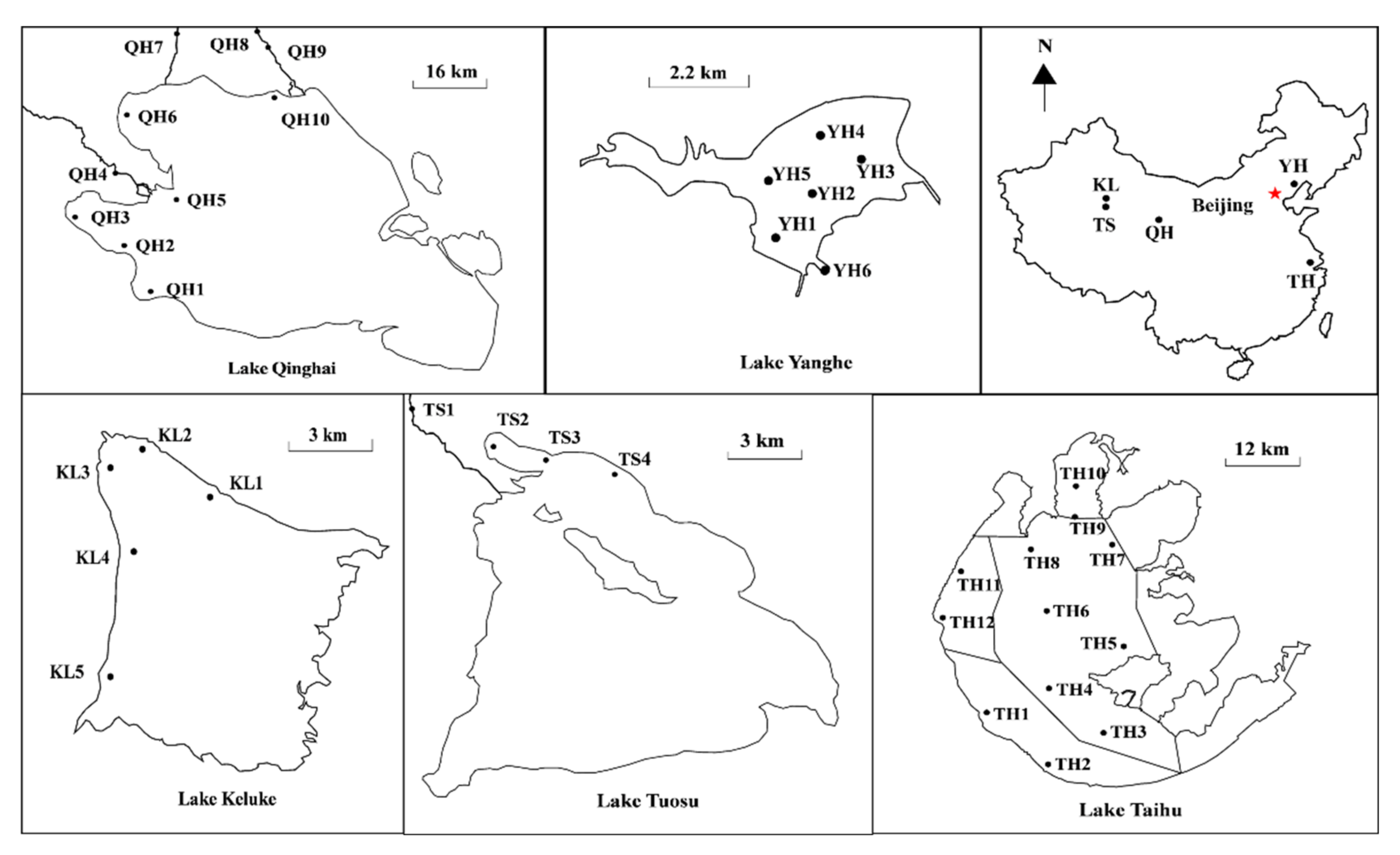 Ijerph 19 03135 g001