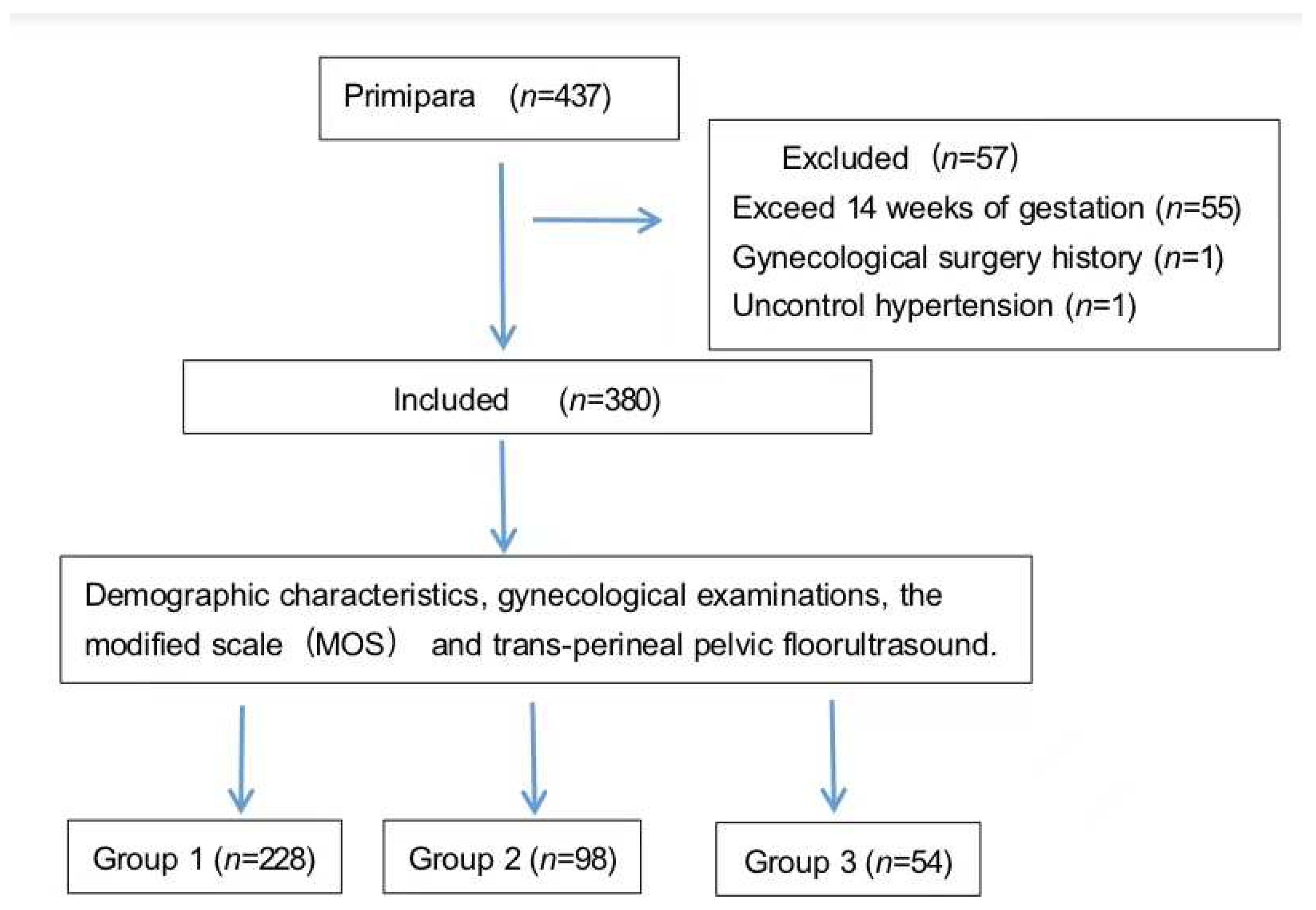 PDF) Distensibility and strength of the pelvic floor muscles of women in  the third trimester of pregnancy