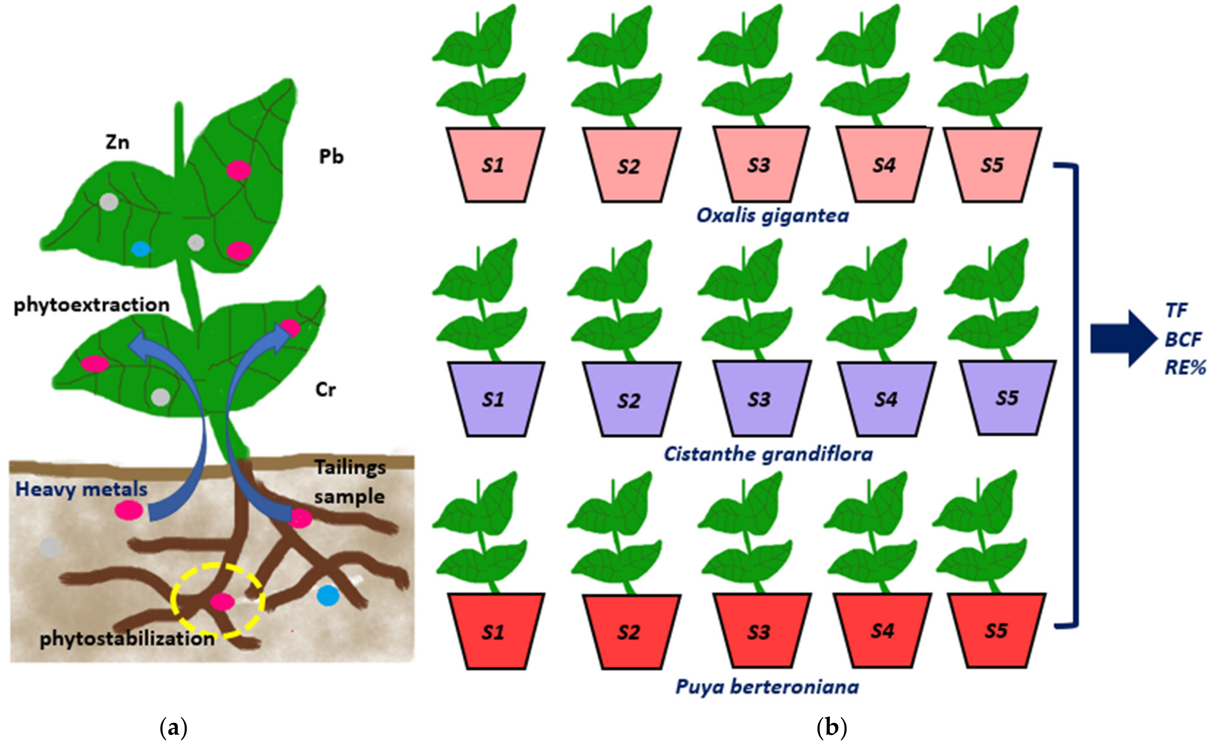 Ijerph 19 03583 g001