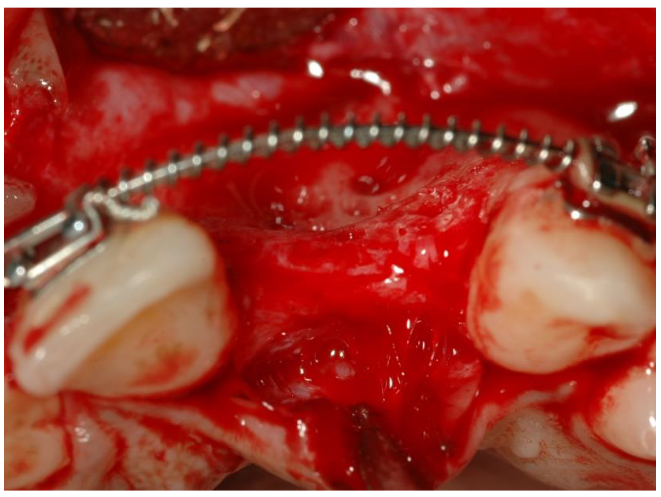 Ijerph 19 03689 g001