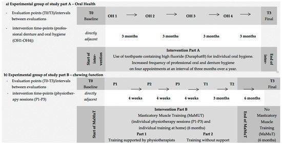 IJERPH | Free Full-Text | The OrBiD (Oral Health, Bite Force and Dementia)  Pilot Study: A Study Protocol for New Approaches to Masticatory Muscle  Training and Efficient Recruitment for Longitudinal Studies in