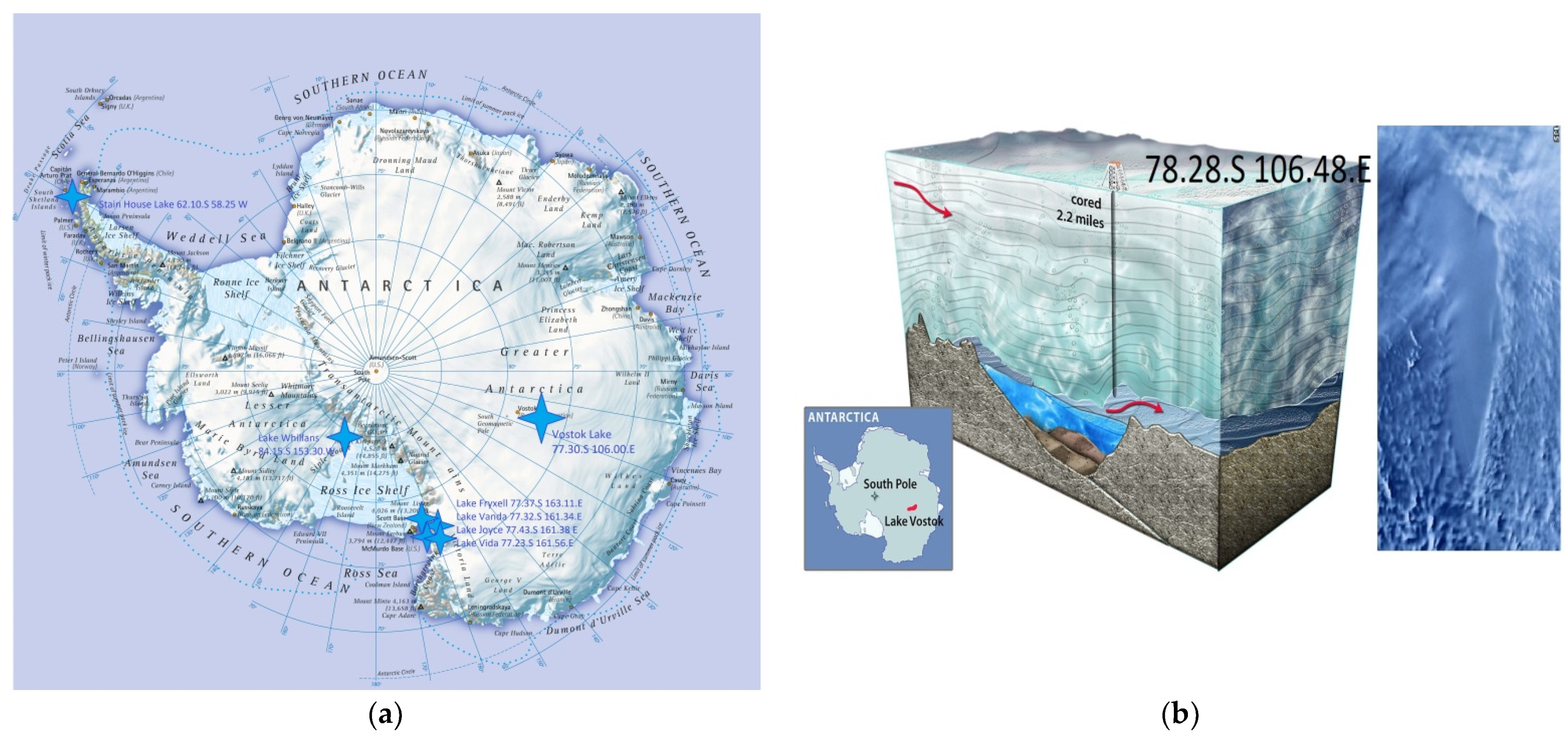 IJERPH | Free Full-Text | Heterotrophic Microbiota from the Oligotrophic  Waters of Lake Vostok, Antarctica