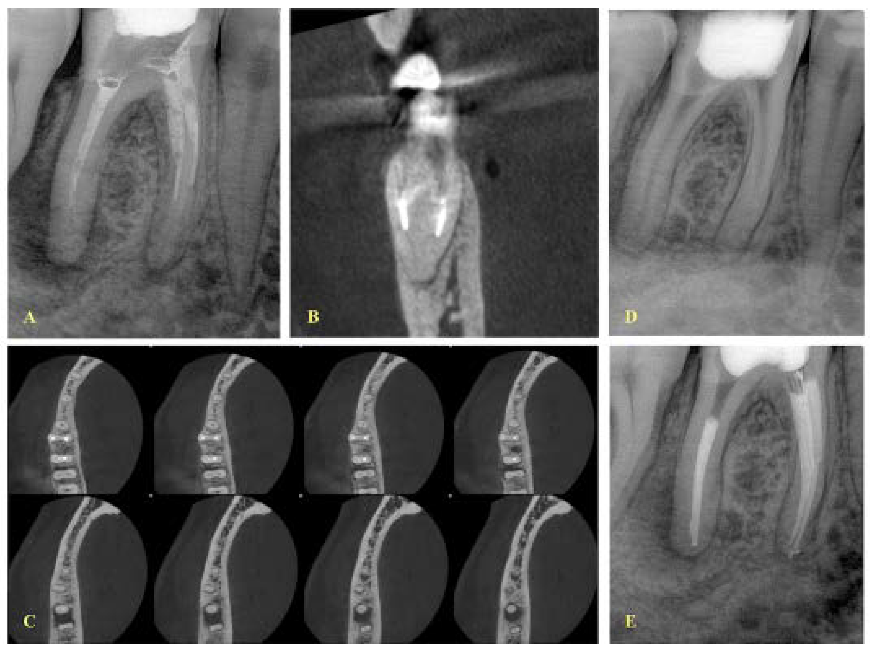 Ijerph 19 04088 g002