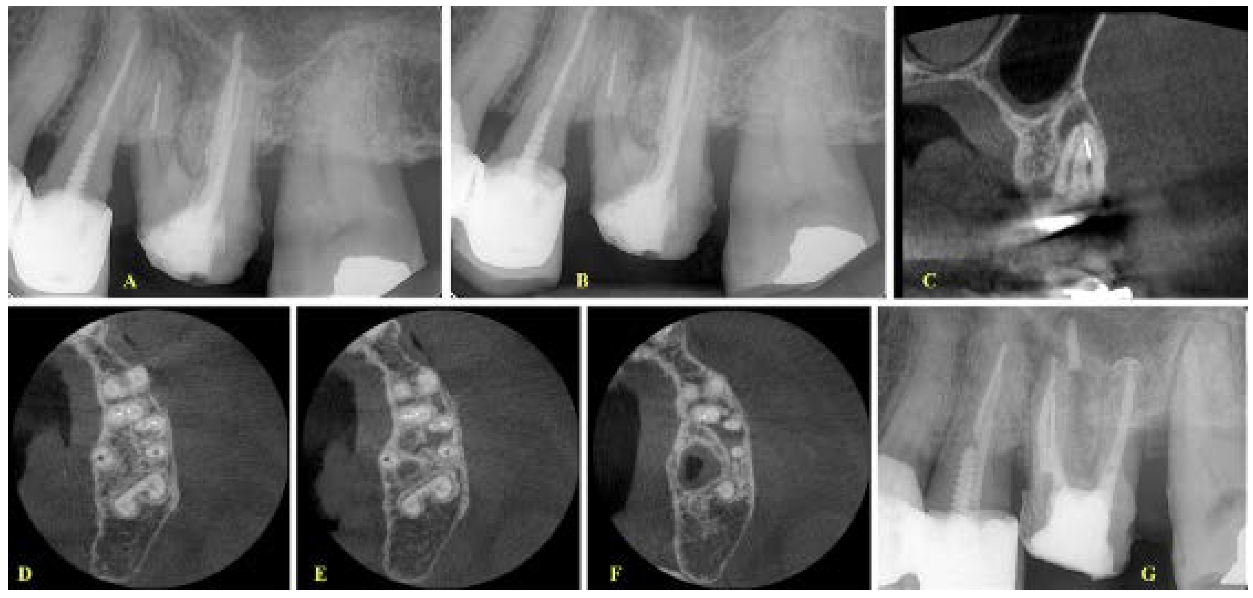 Ijerph 19 04088 g004