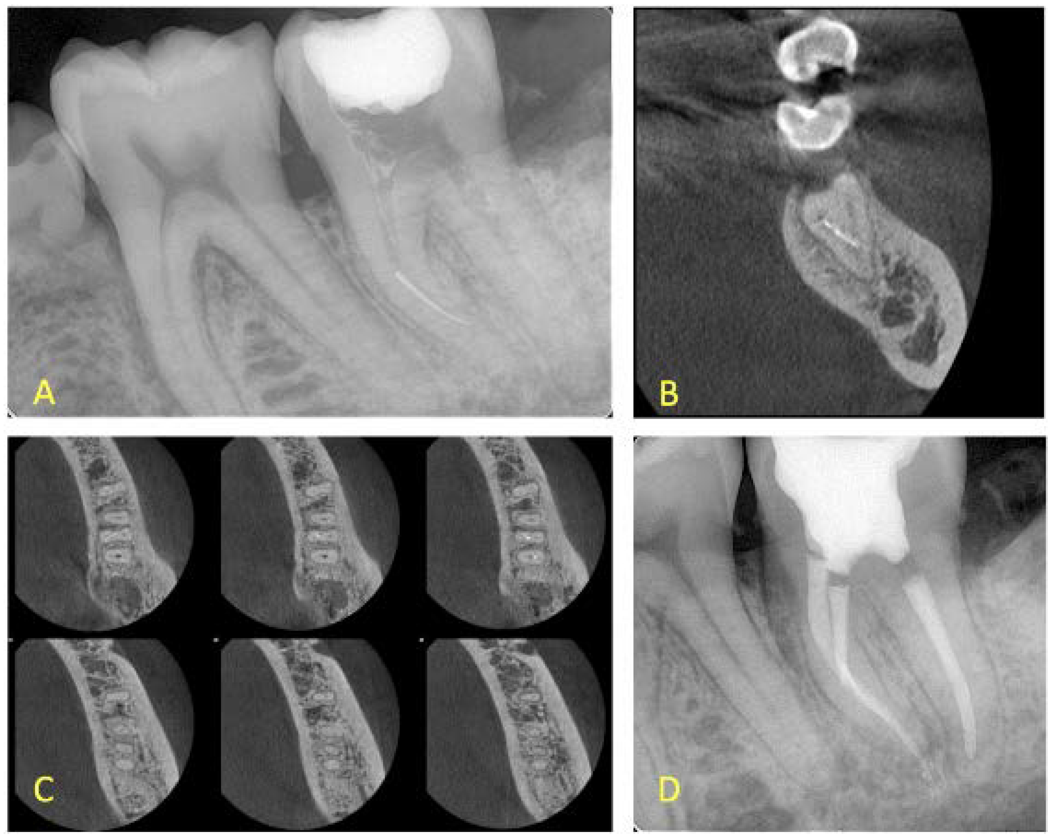 Ijerph 19 04088 g005