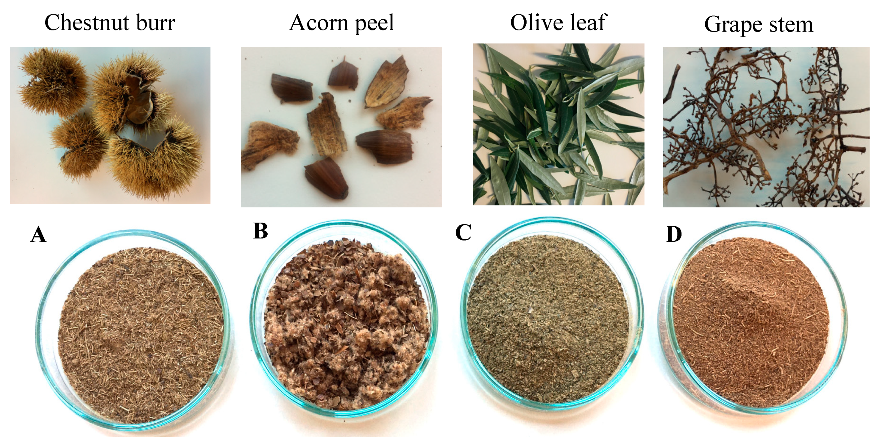 Ijerph 19 04134 g001